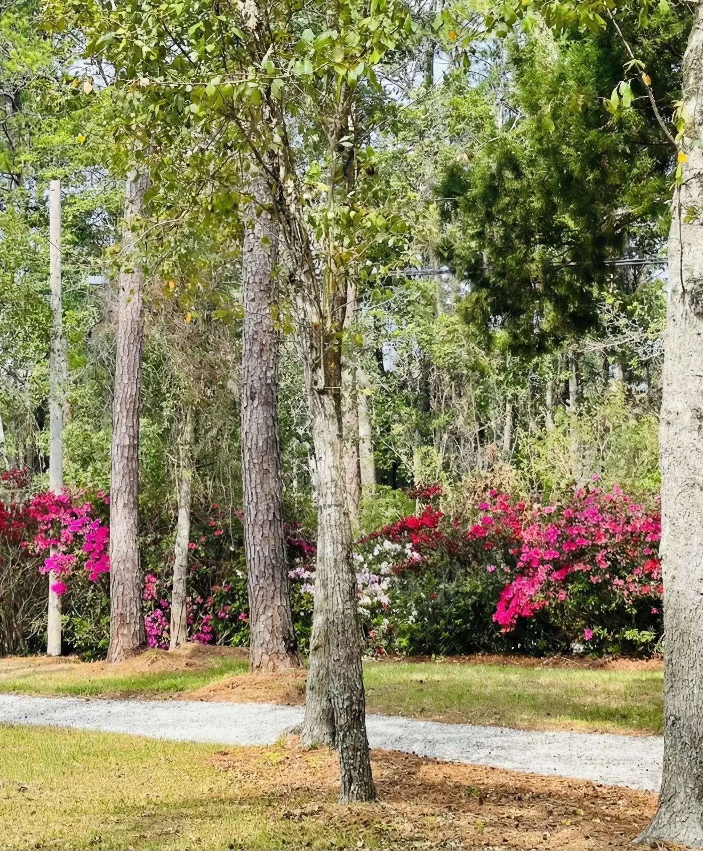 The Grand Luxe Sanctuary : The Crown Jewel Of Jacksonville