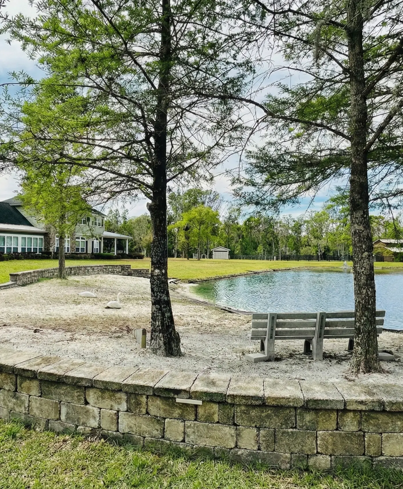 The Grand Luxe Sanctuary : The Crown Jewel Of Jacksonville