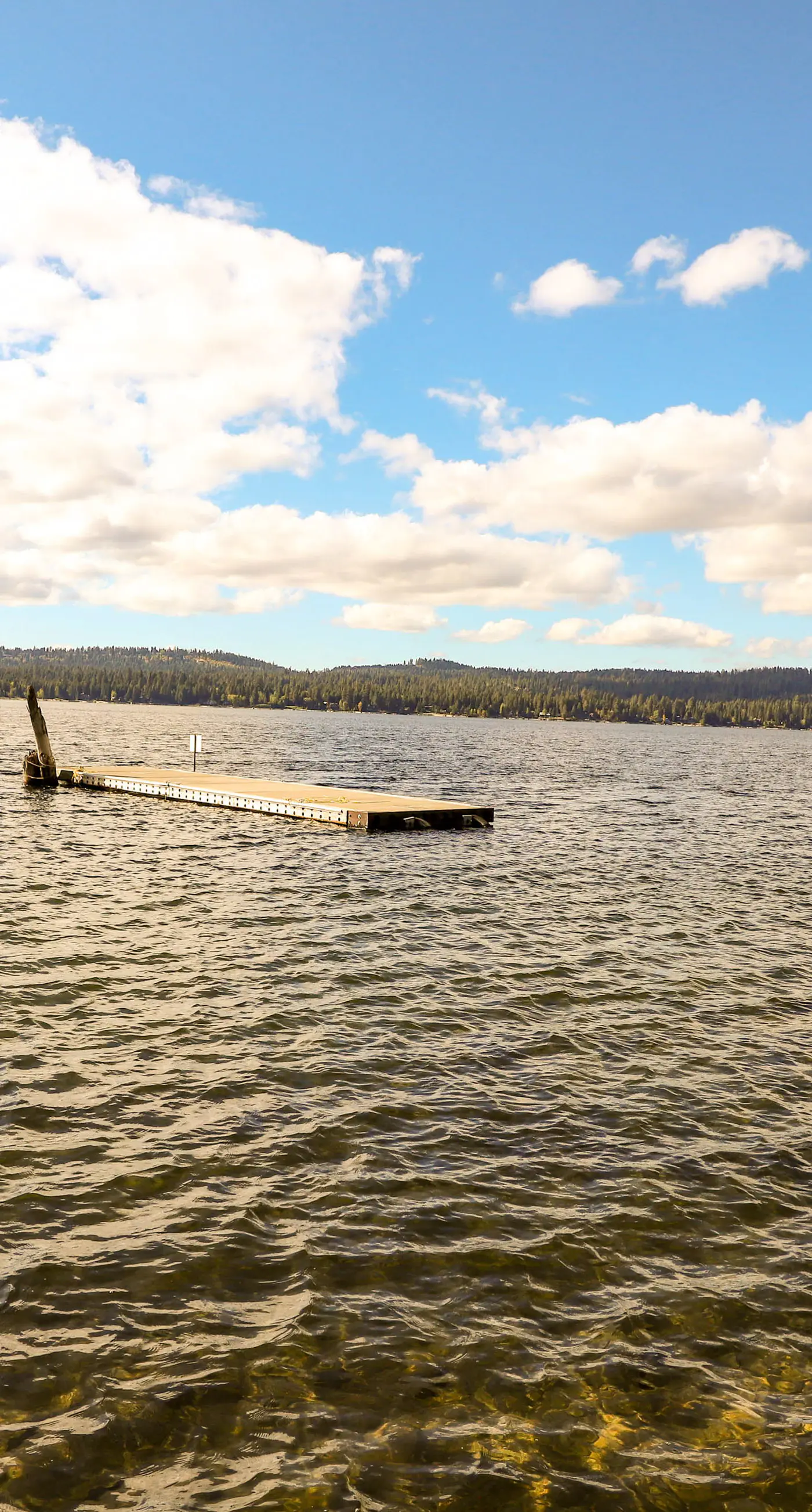 Custom Cabin - Hot Tub Near McCall & Brundage