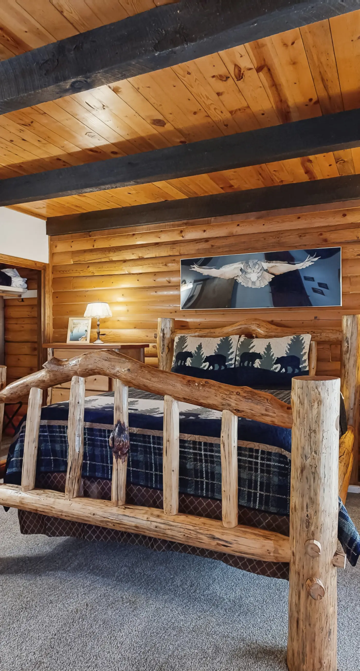 Custom Cabin - Hot Tub Near McCall & Brundage