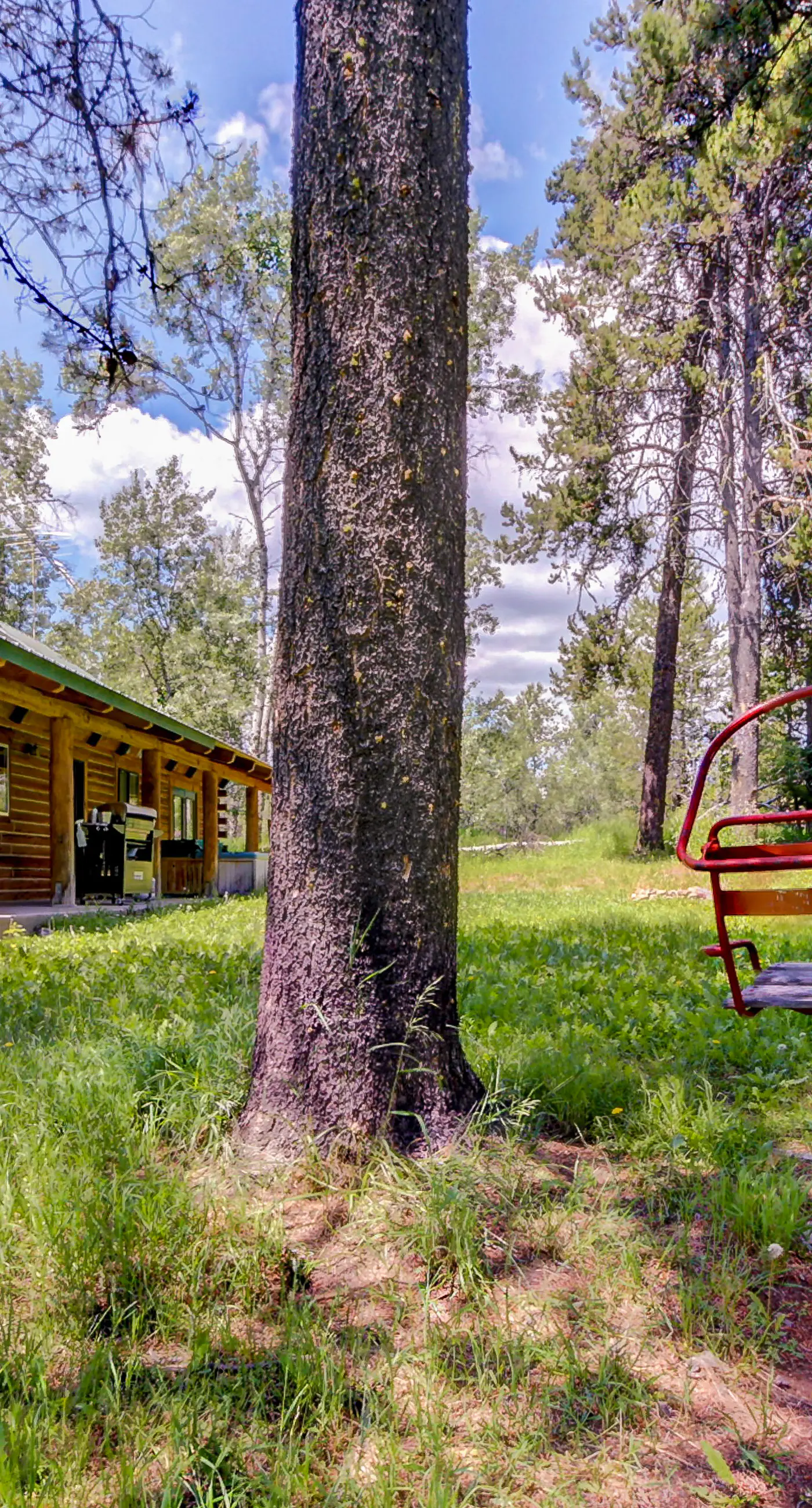 Custom Cabin - Hot Tub Near McCall & Brundage