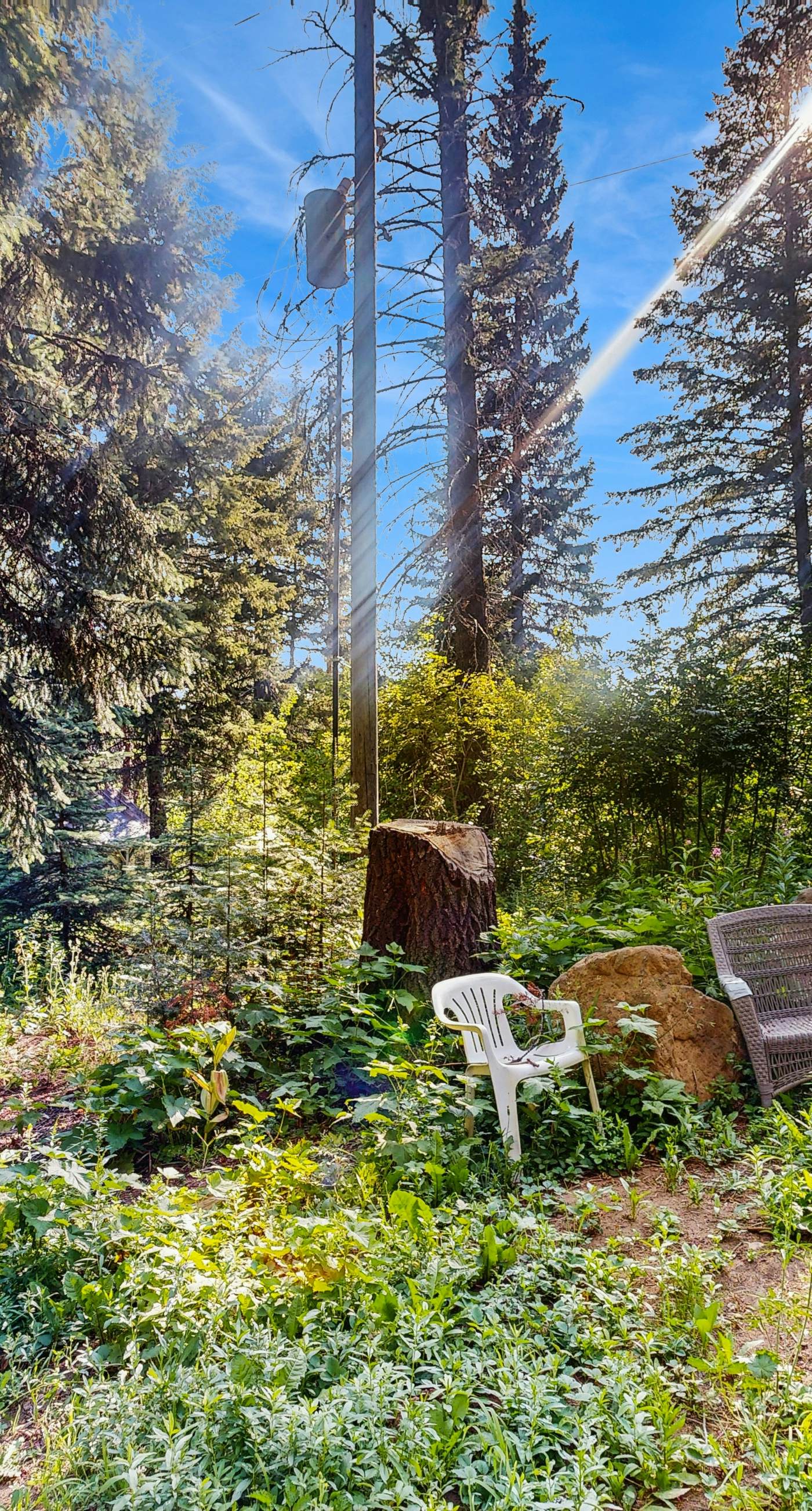 Peaceful Cabin Near Cascade Lake & Stream