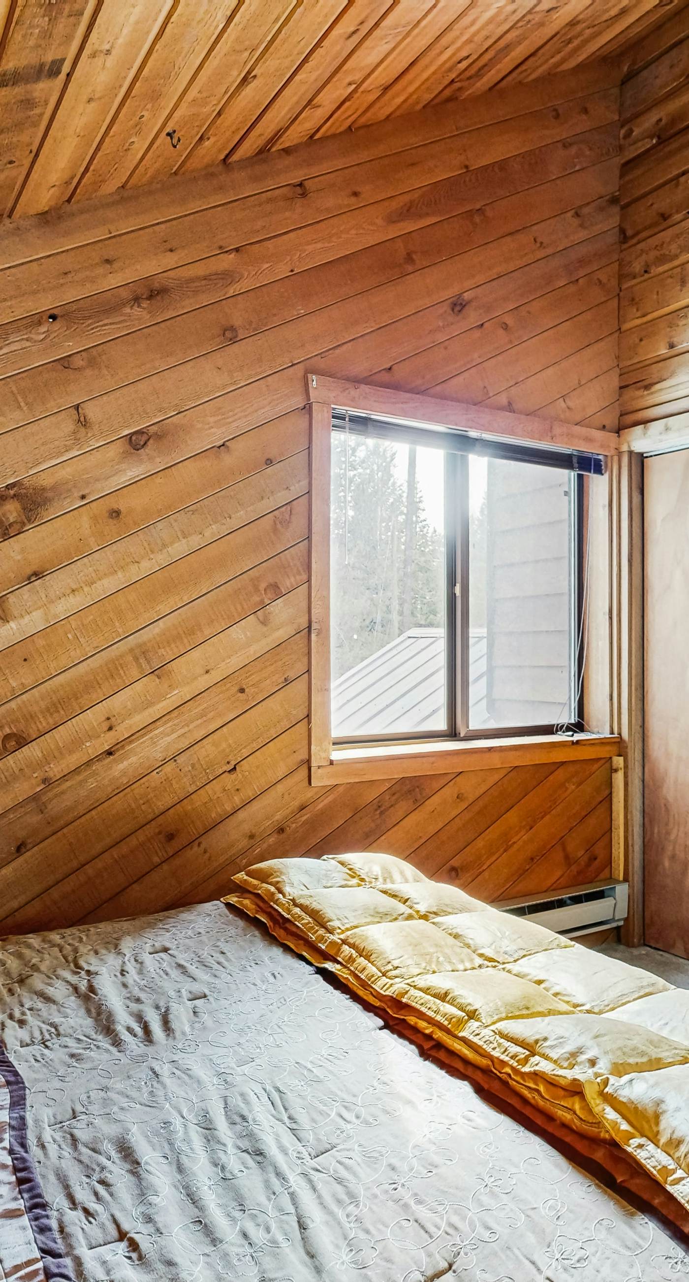 Adventurous McCall Cabin Near Payette Lake