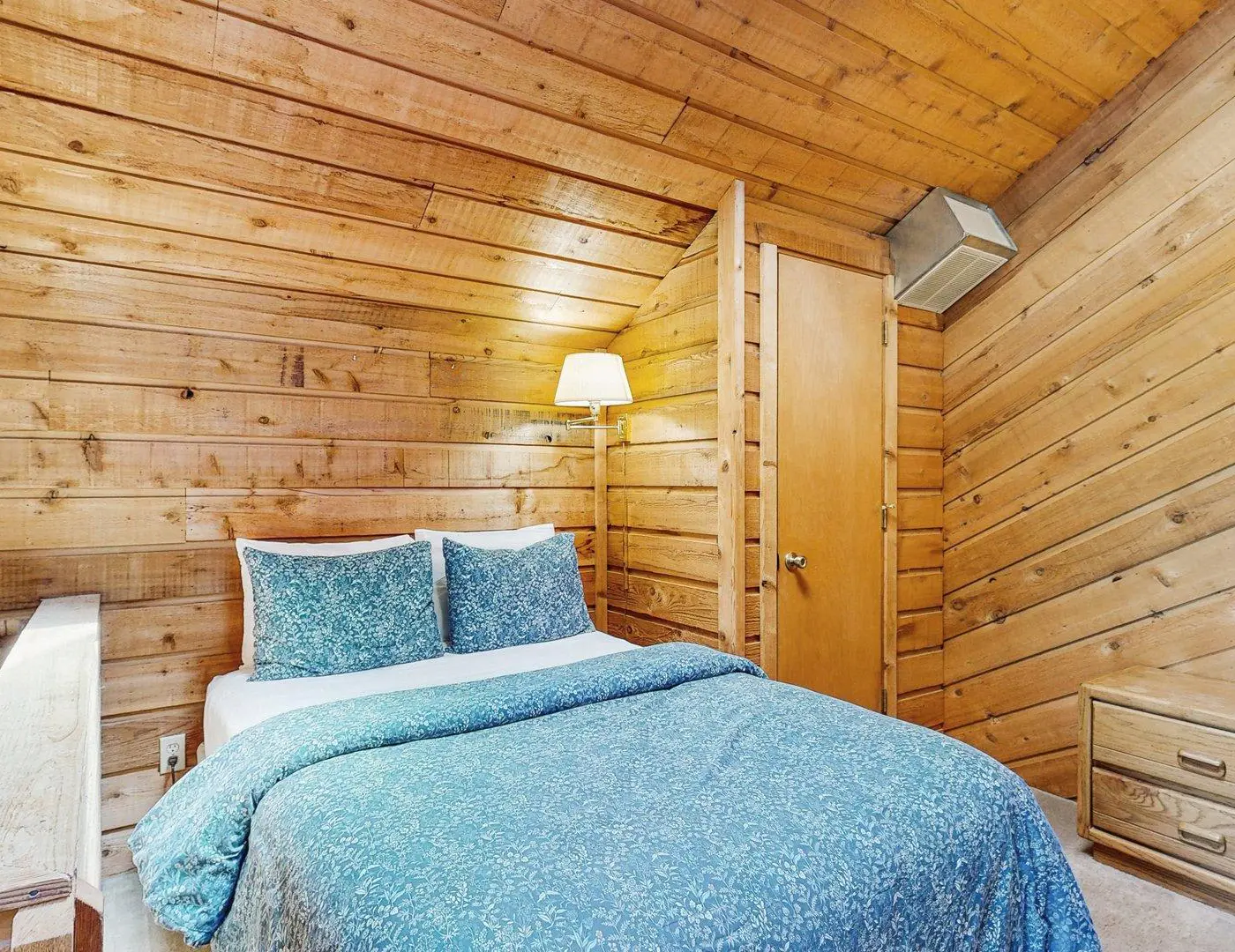 Adventurous McCall Cabin Near Payette Lake