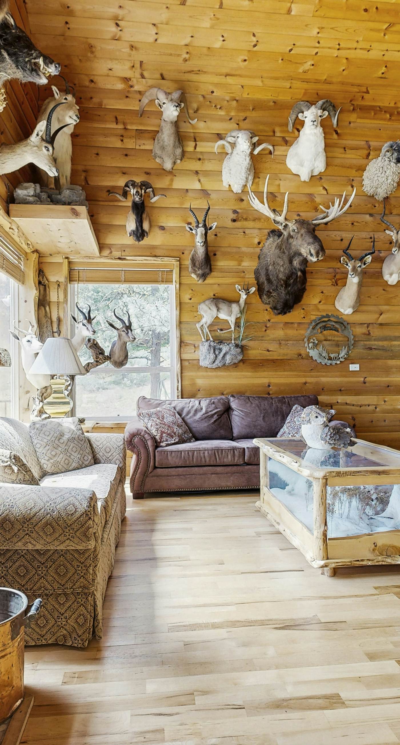 Secluded New Meadows Cabin Near Hot Springs