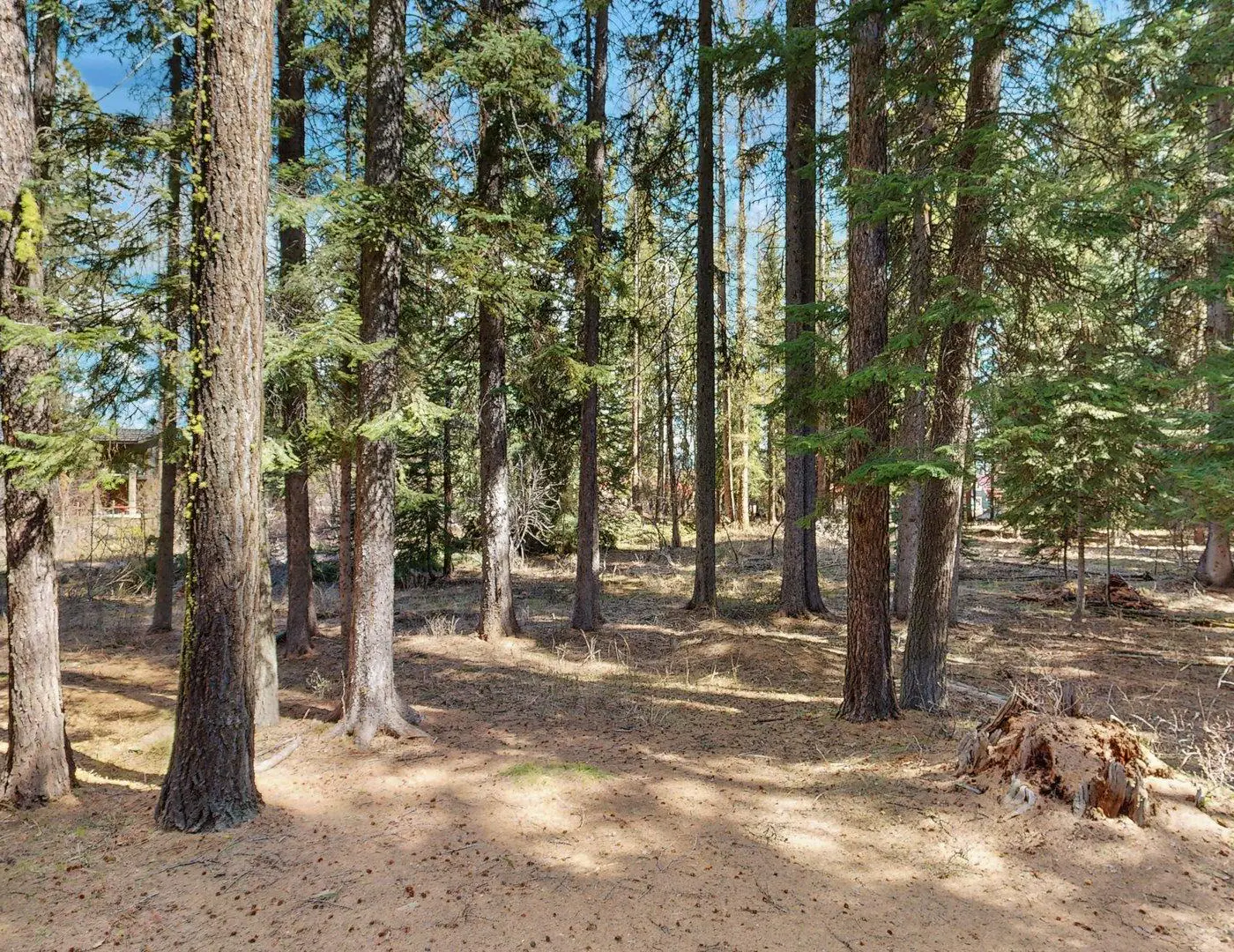 McCall Log Cabin, NearDowntown, Trailer Parking