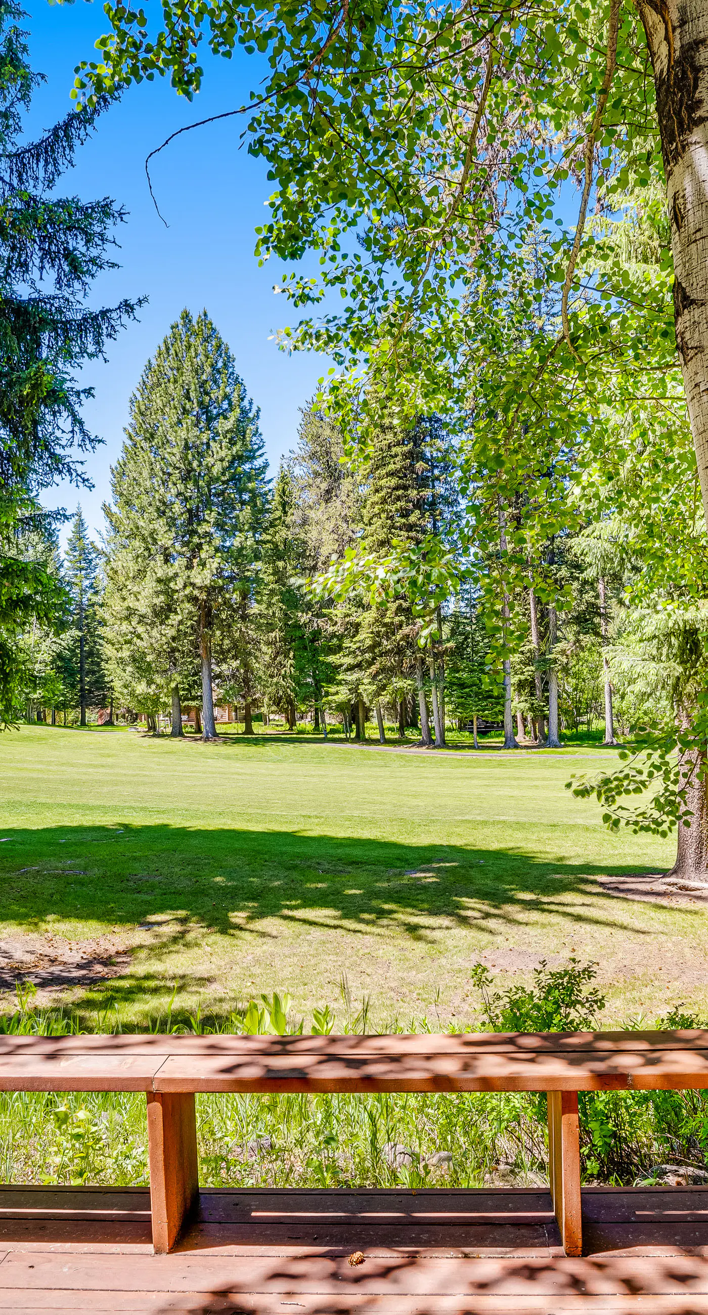 McCall Home with Hot Tub Golf Course Views