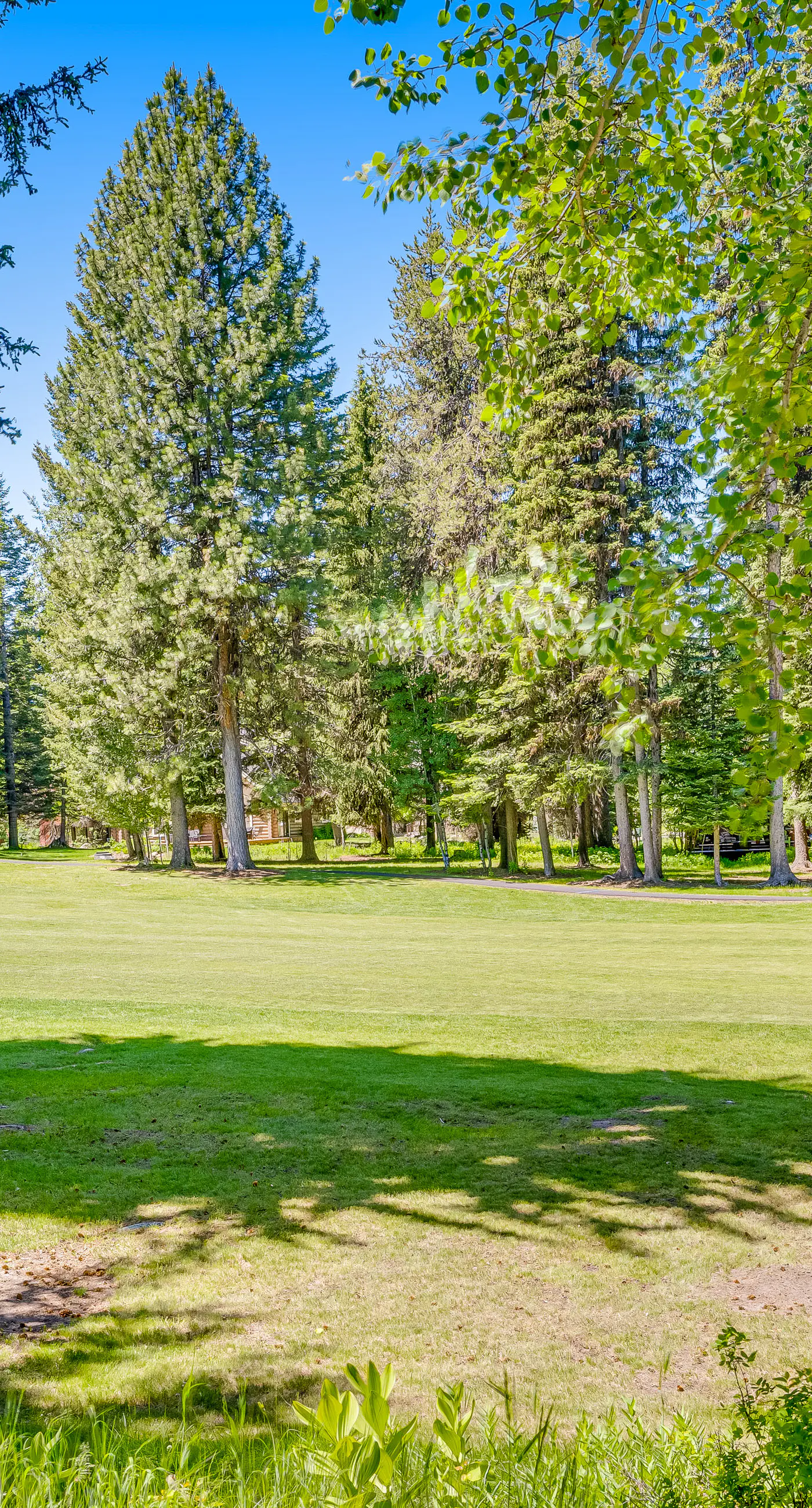 McCall Home with Hot Tub Golf Course Views