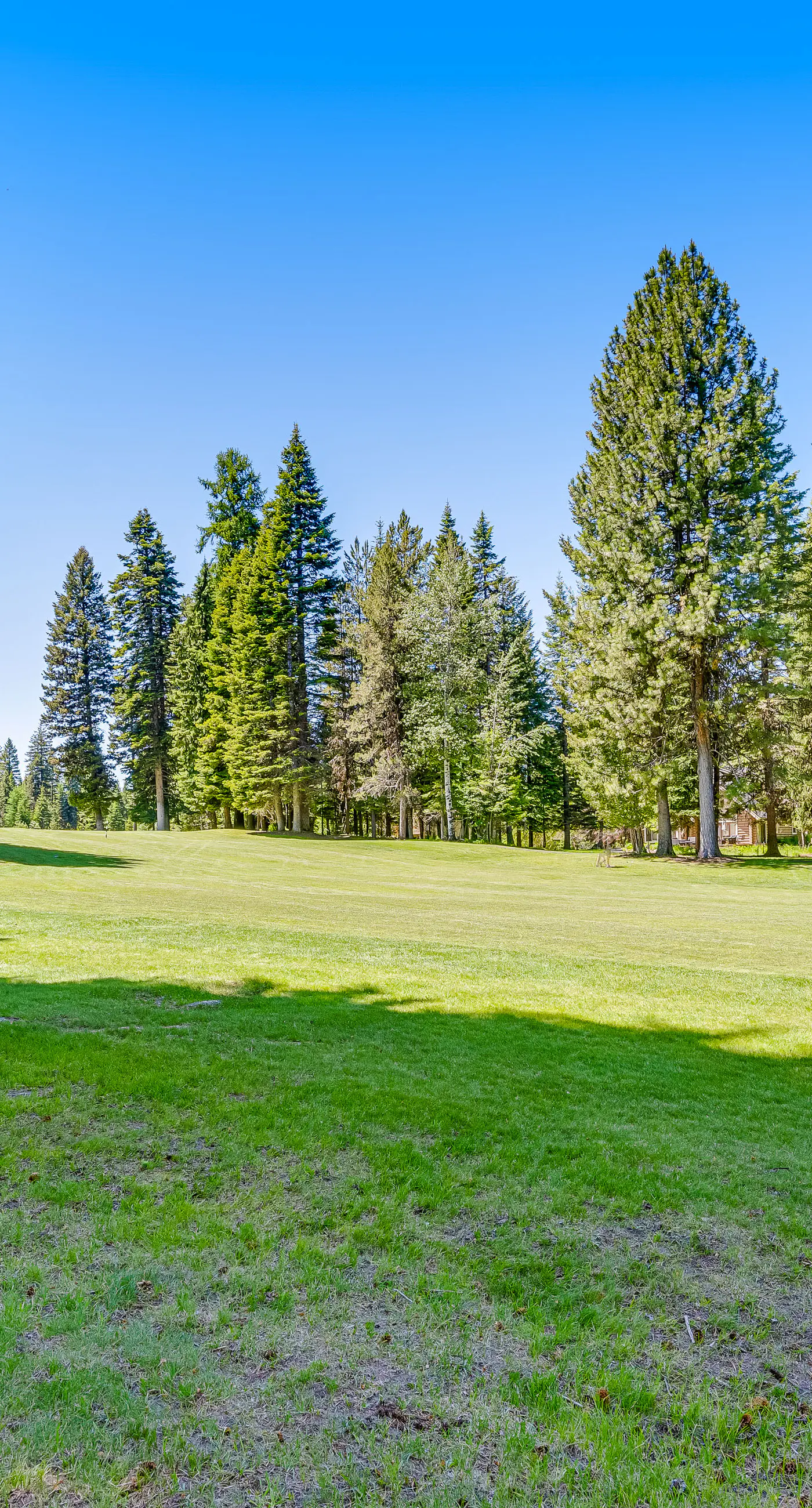 McCall Home with Hot Tub Golf Course Views