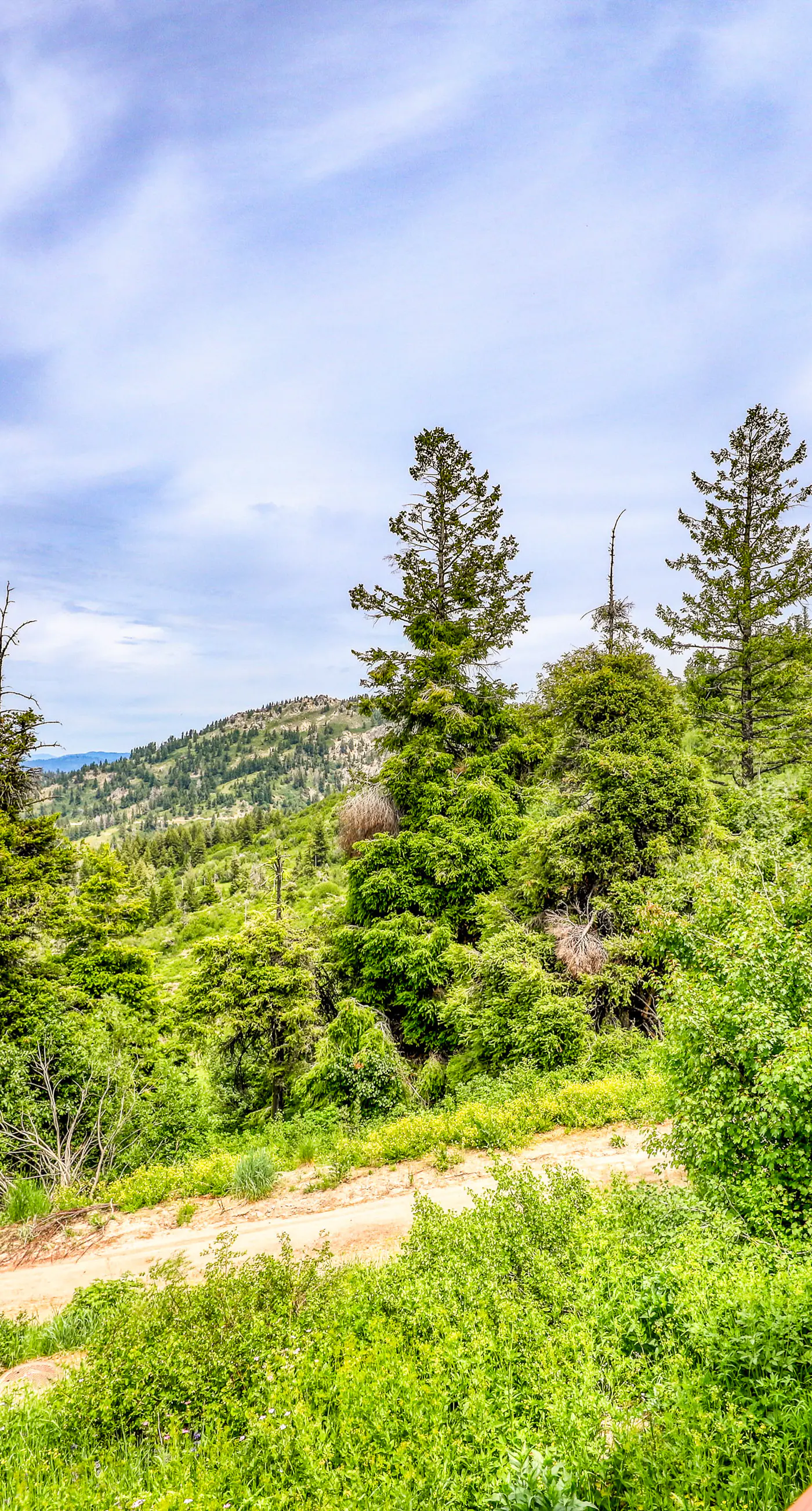 Mountain Retreat Slope Access 2 Decks