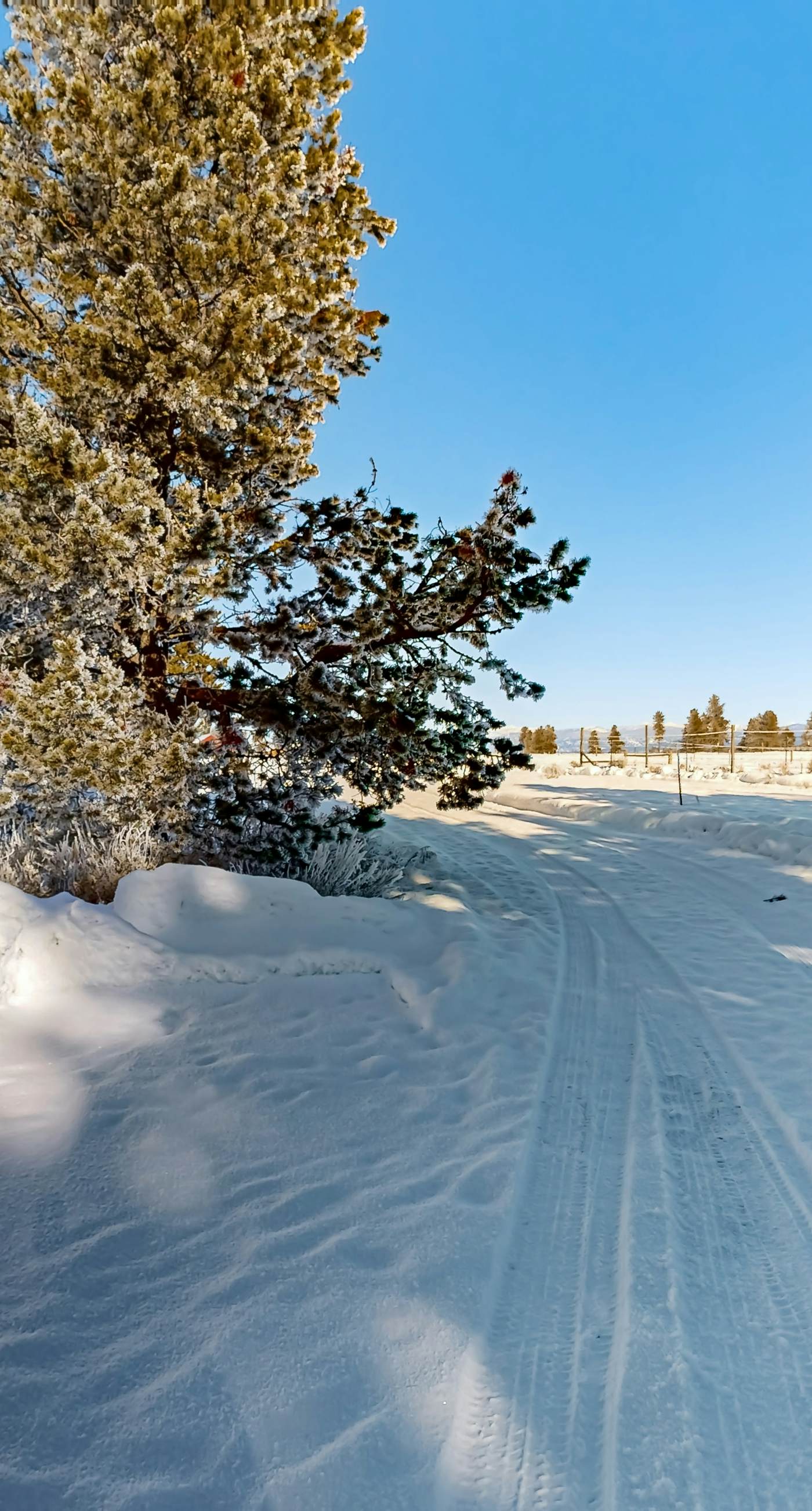 Secluded Cabin: River Access & Mountain Views
