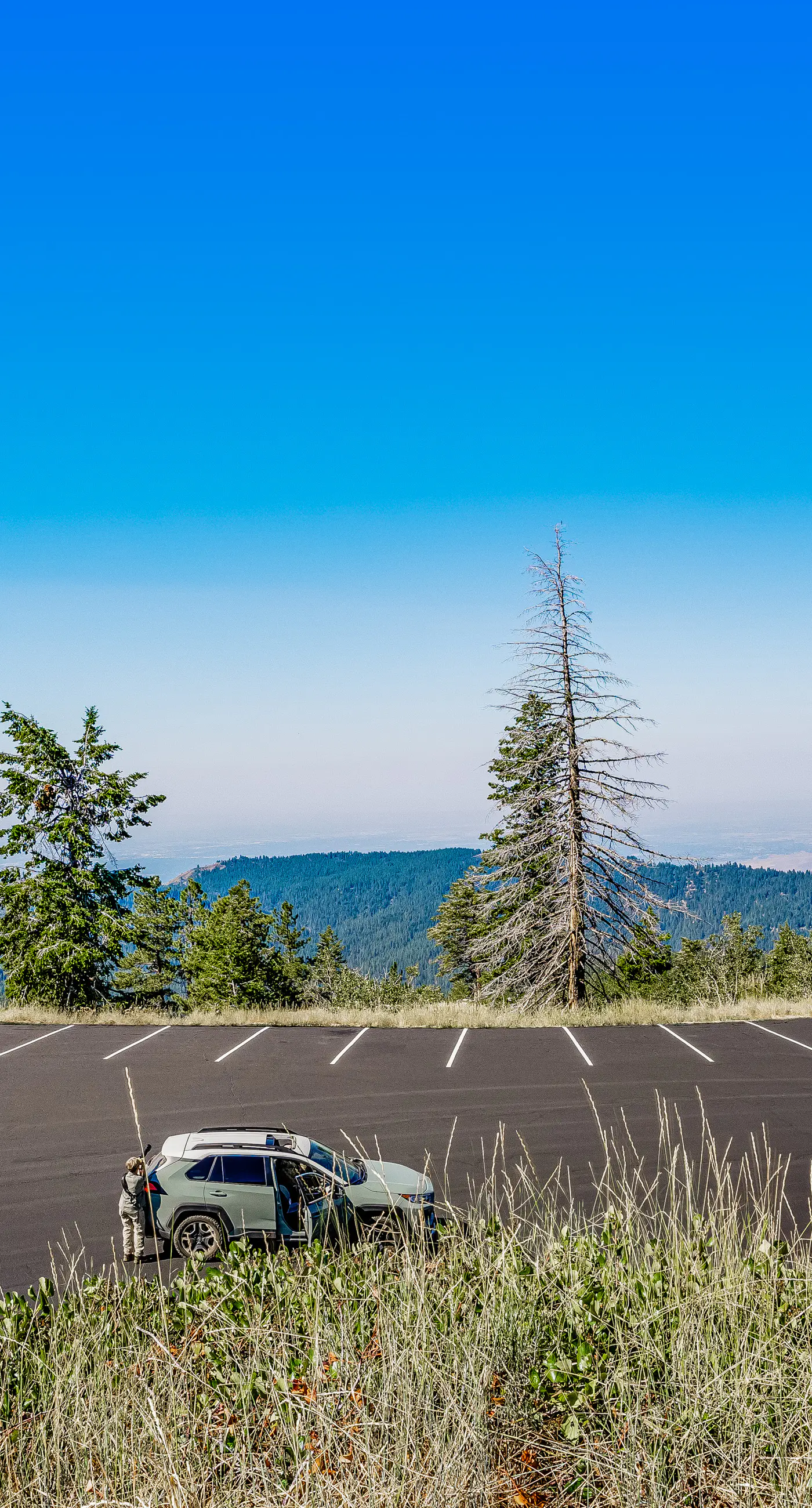 Ski-In/Ski-Out Studio at Bogus Basin