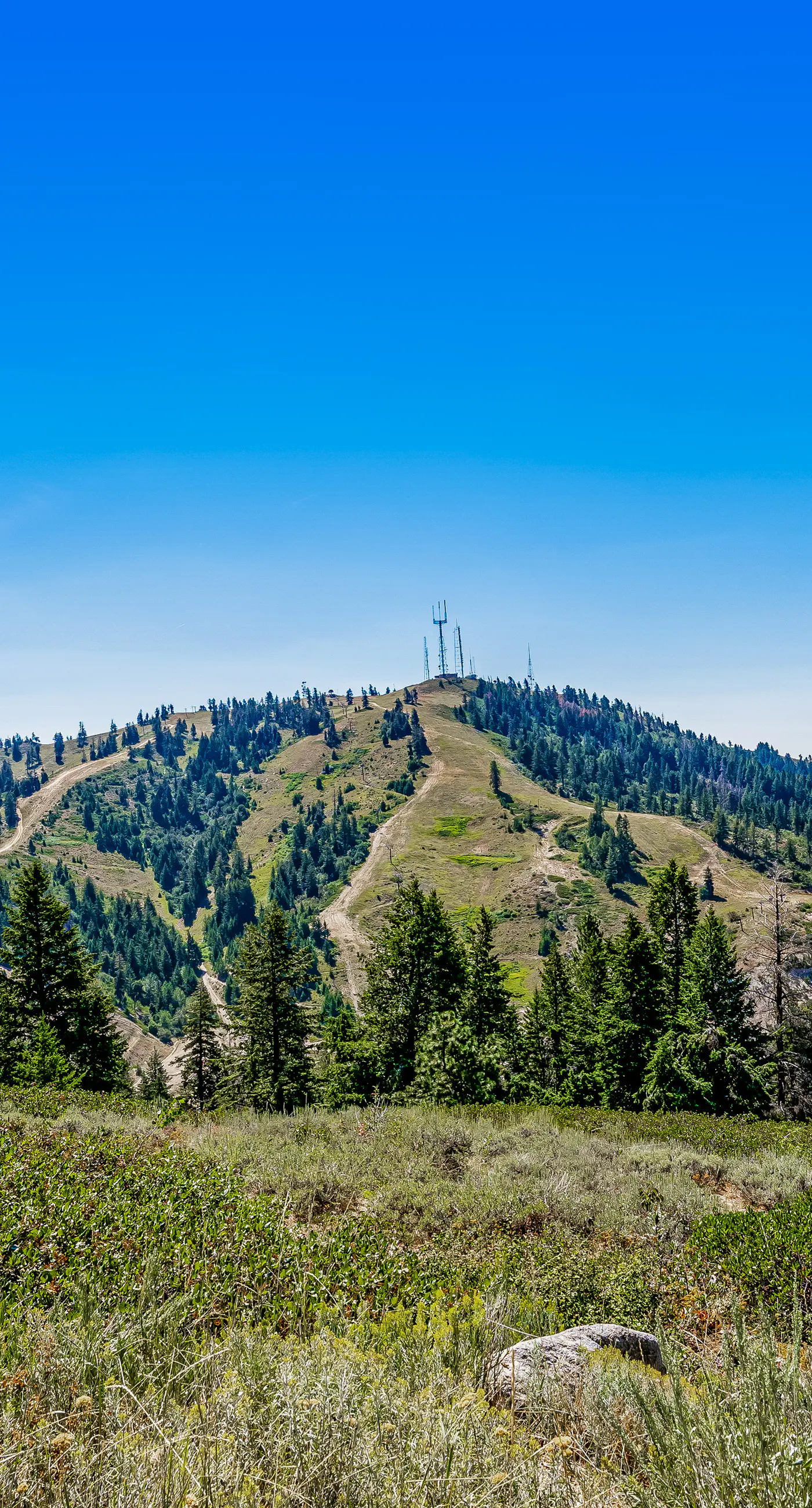 Ski-In/Ski-Out Studio at Bogus Basin