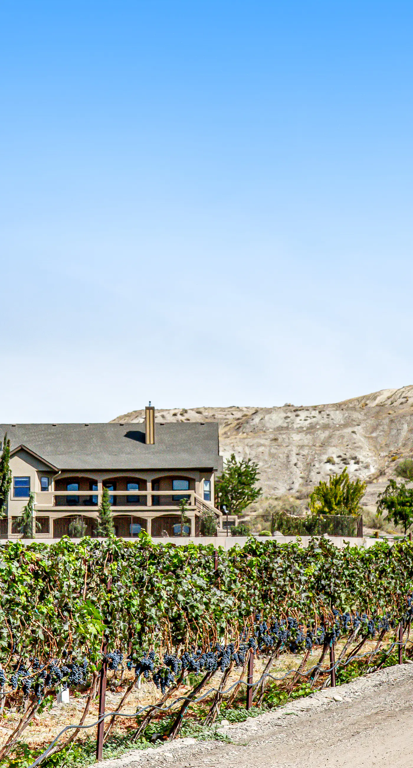 Kerry Hill Manor Family Vineyard Retreat