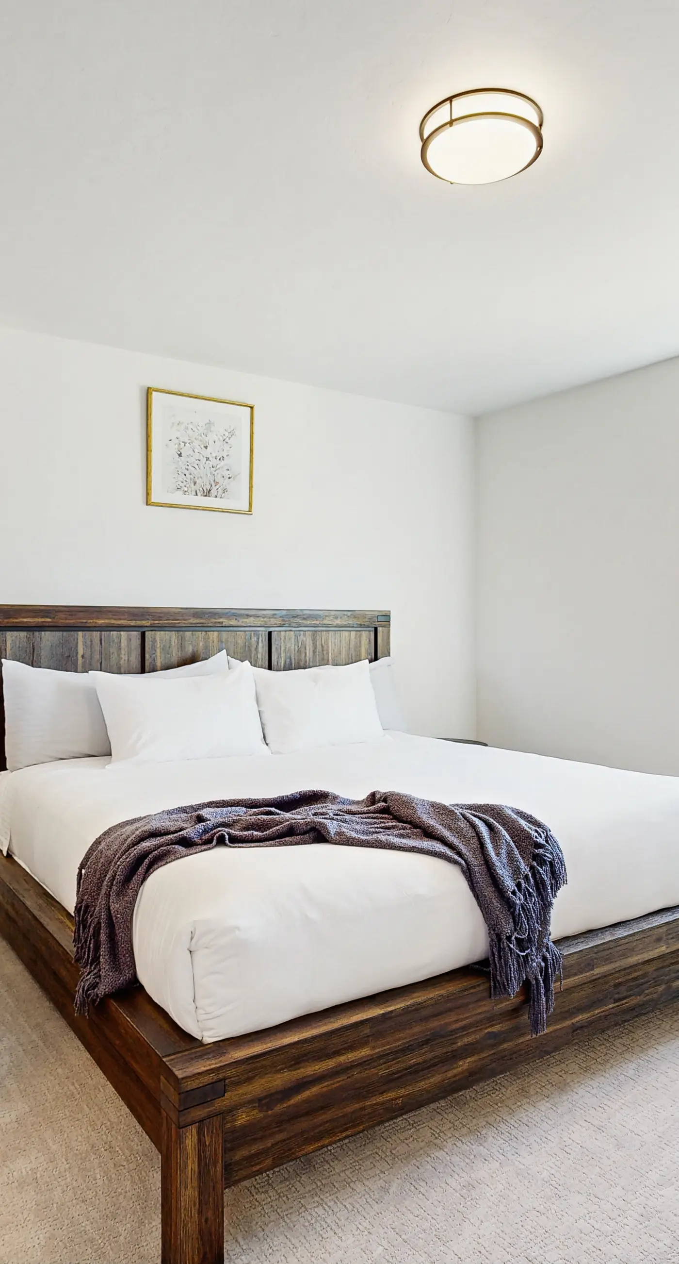 Modern Townhouse, Centrally Located Near BSU