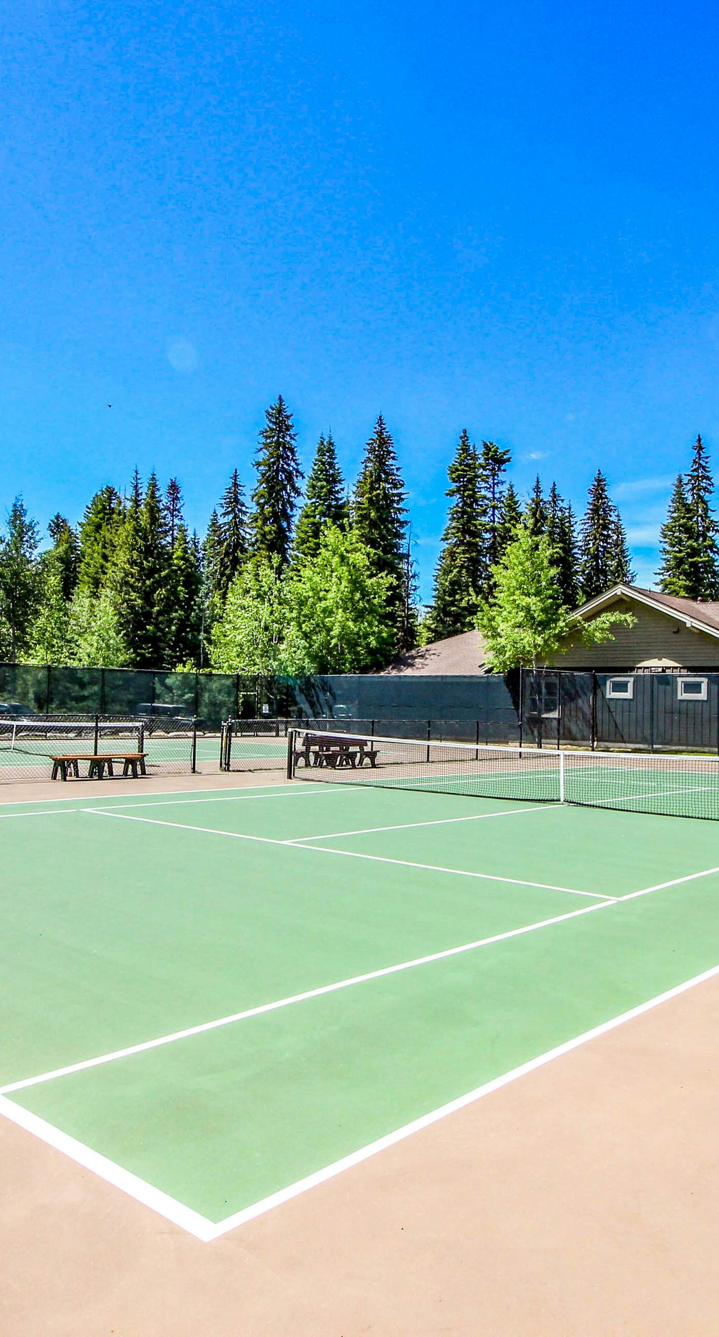 Spring Mountain Condo: Pool, Gym & Slopes