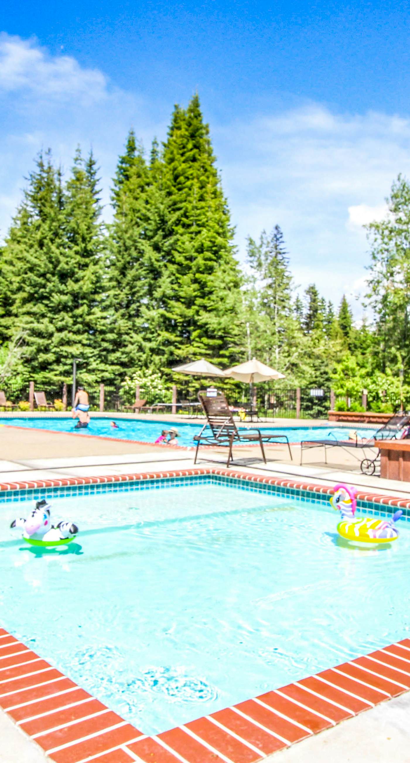 Spring Mountain Condo: Pool, Gym & Slopes