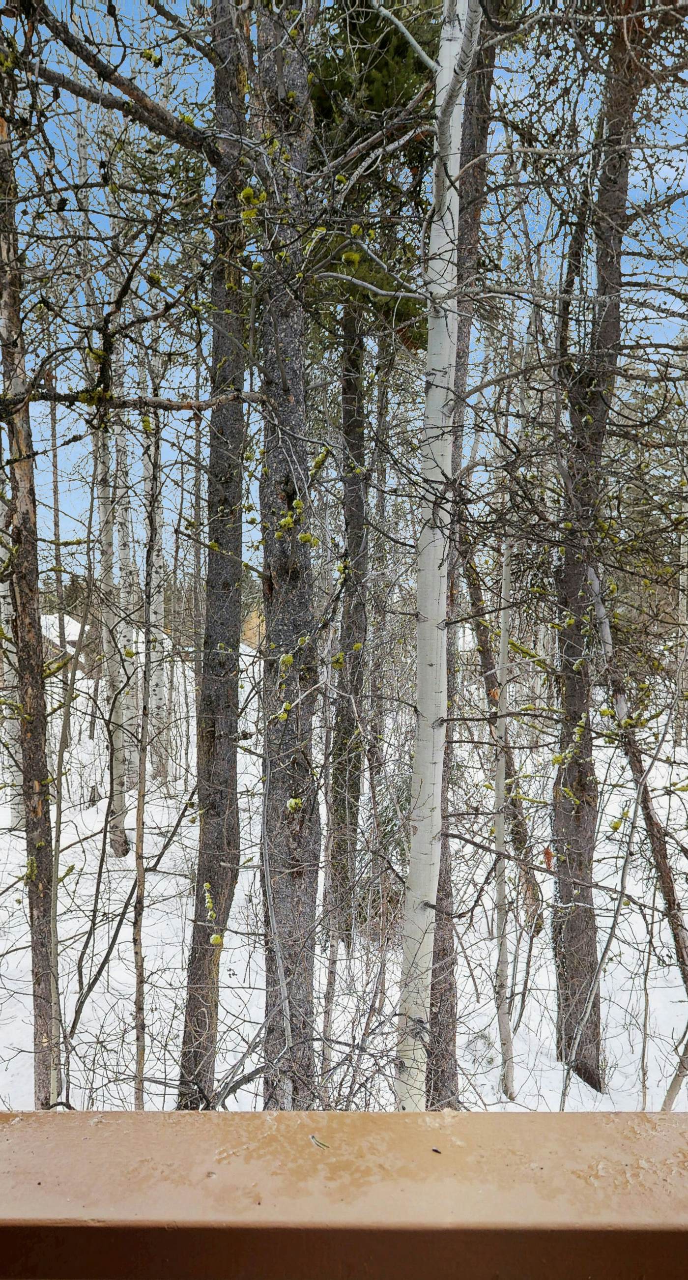 McCall Mountain Condo: Pool, Sauna & Deck