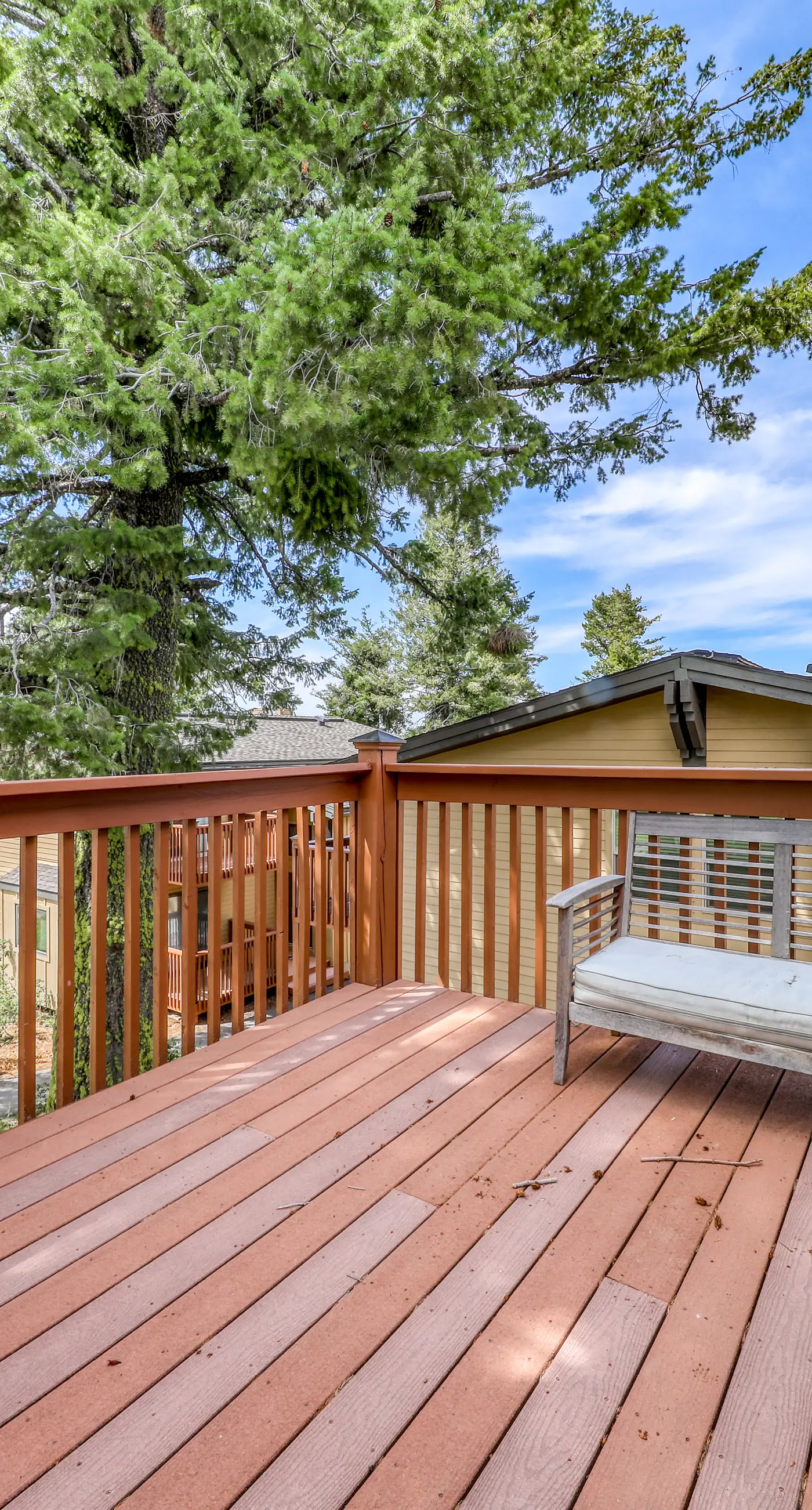 Ski-In/Out Retreat - Trailhead & Mountain Views