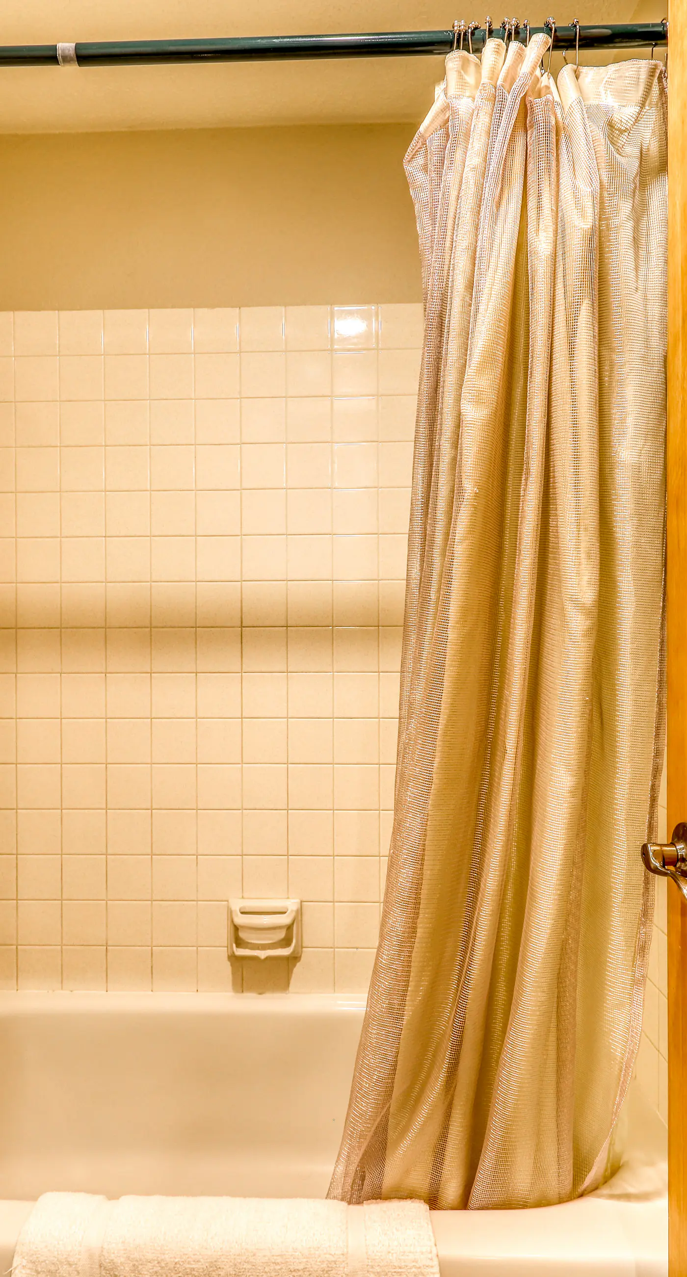 Ski-In/Out Retreat - Trailhead & Mountain Views