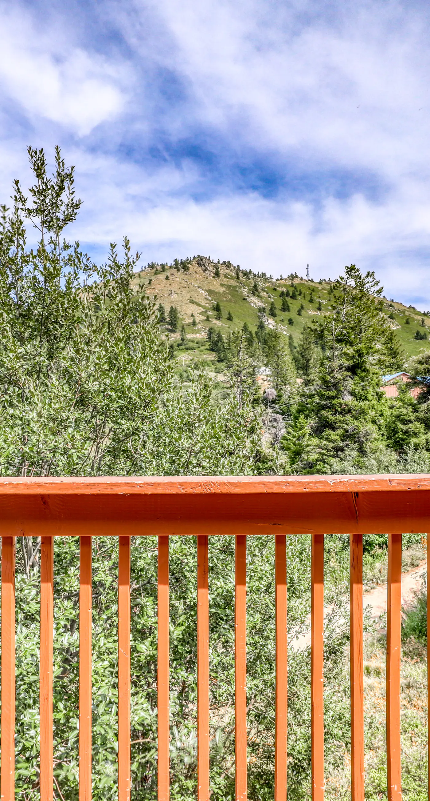 Ski-In/Out Retreat - Trailhead & Mountain Views