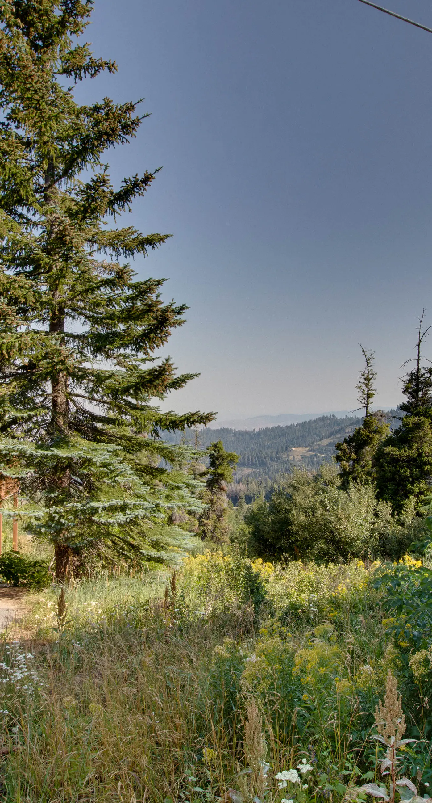 Ski-In/Out Retreat - Trailhead & Mountain Views