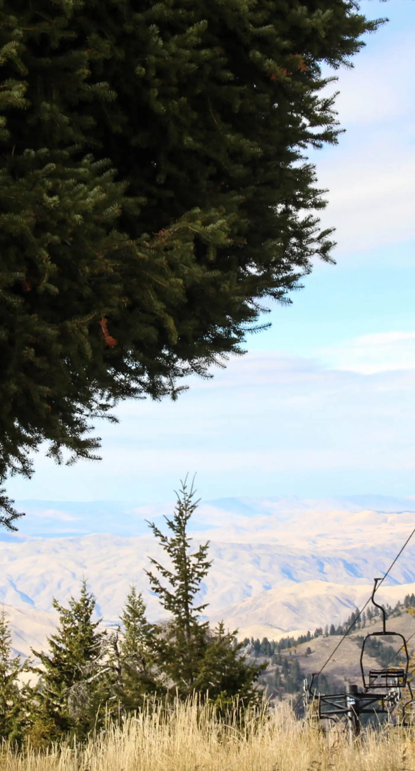 Ski-In/Out Retreat - Trailhead & Mountain Views