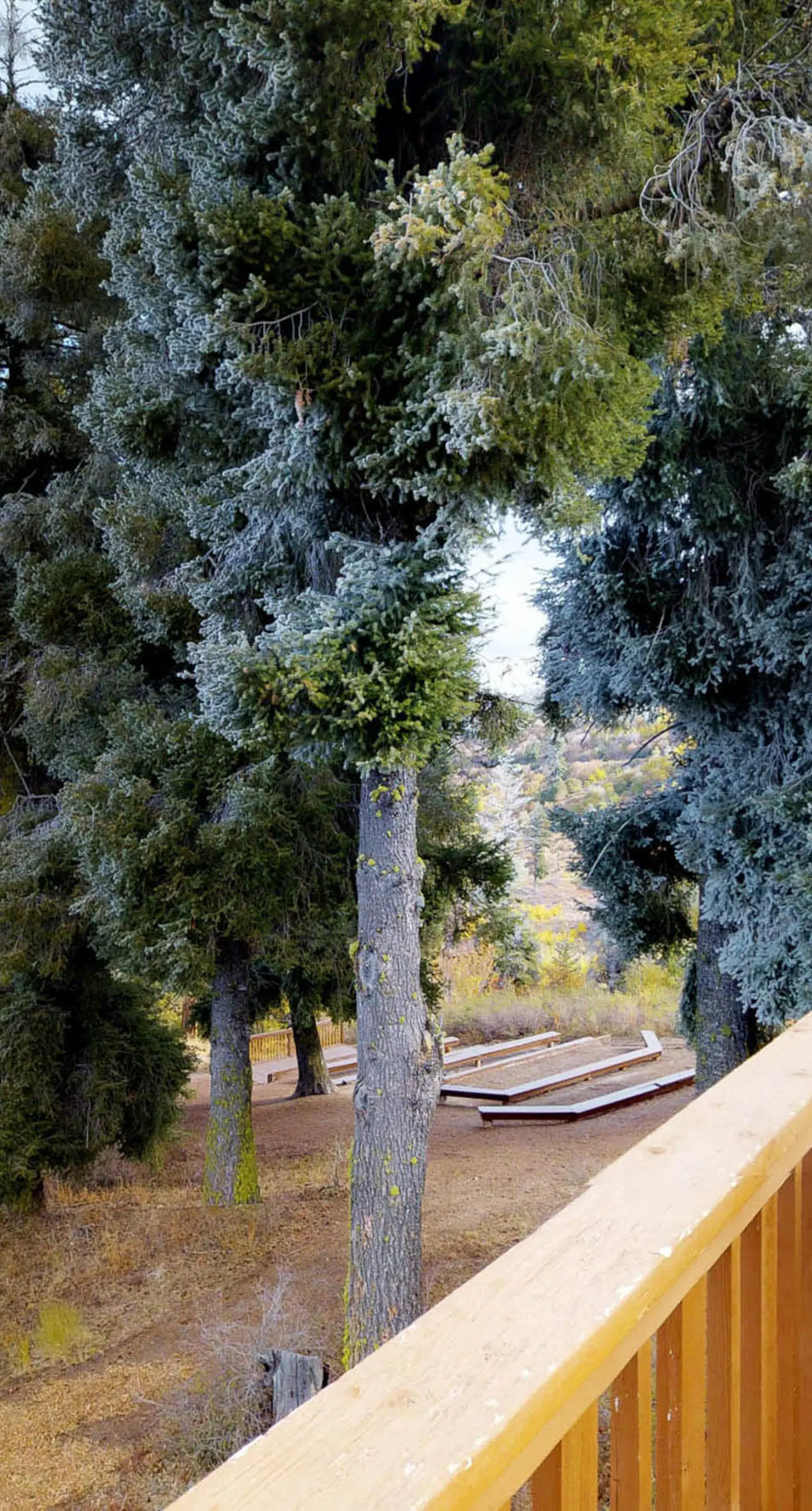 Mountain Condo: Ski Access & Sunset Deck