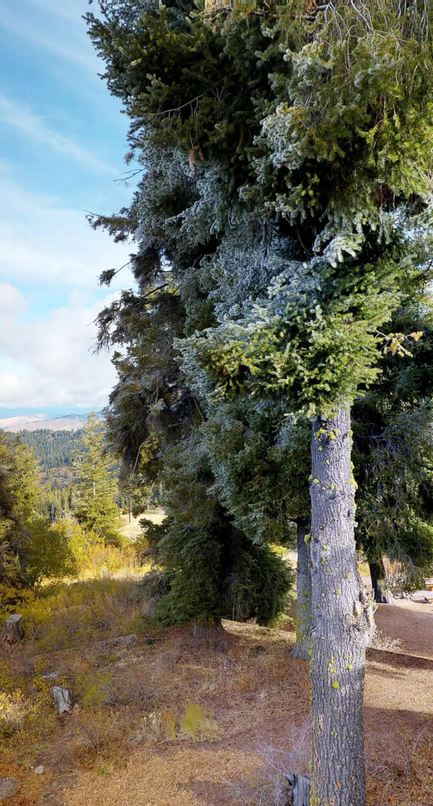 Mountain Condo: Ski Access & Sunset Deck