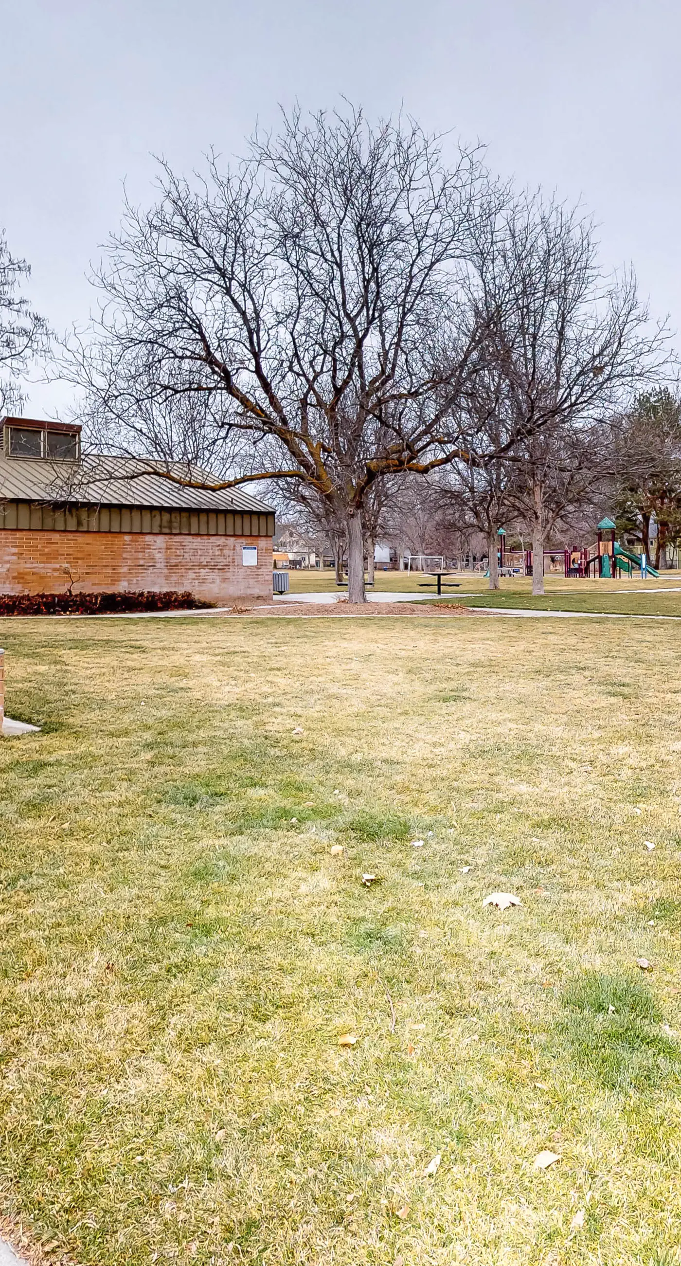 Central Boise Home: Garage, Yard & Park Access