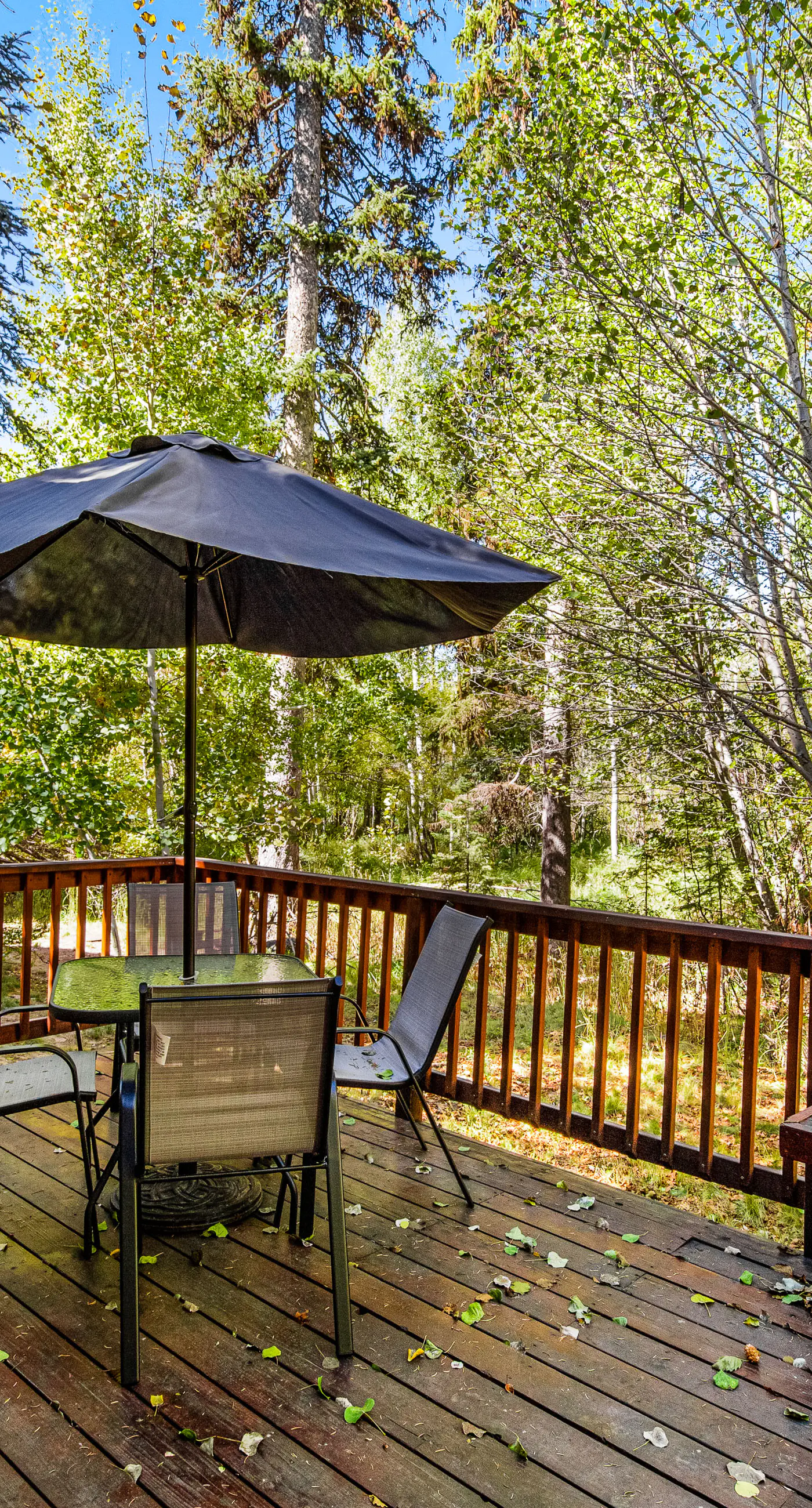 McCall Home | Pool, Hot Tub & Gym Access