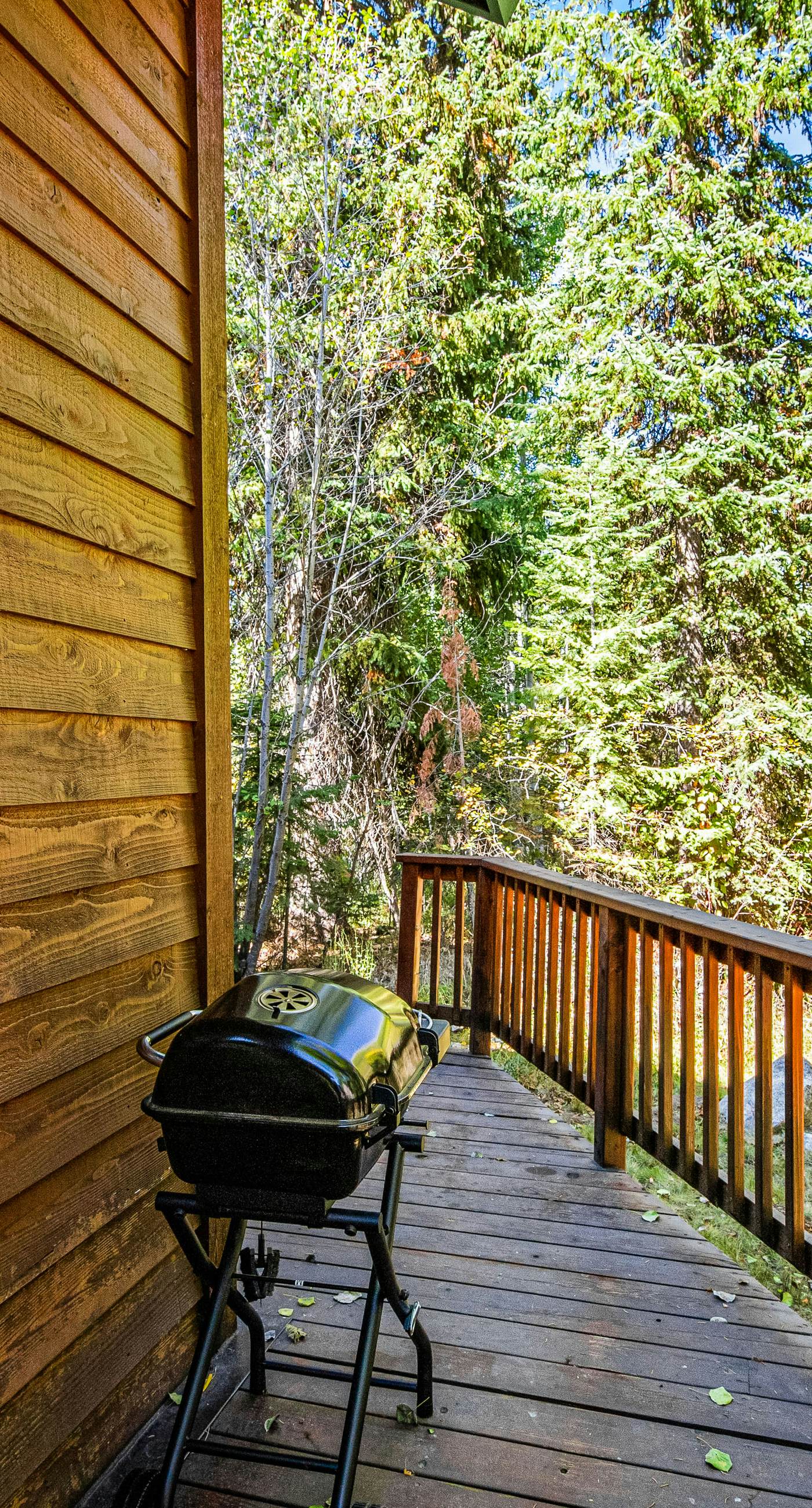 McCall Home | Pool, Hot Tub & Gym Access