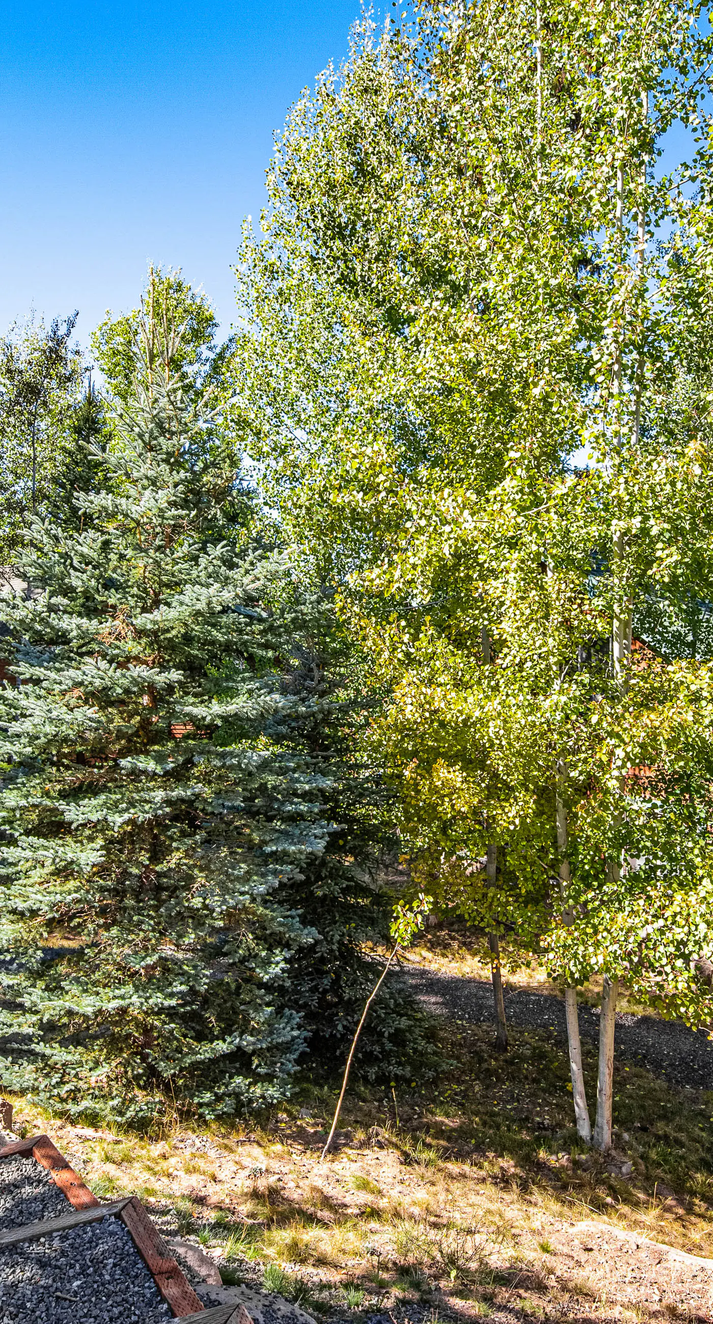 McCall Home | Pool, Hot Tub & Gym Access