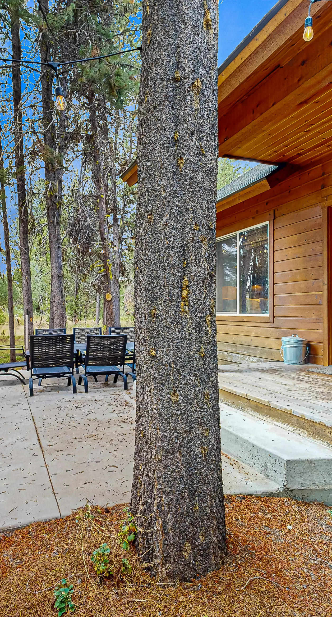 Modern Mountain Cabin 2 Miles to Downtown