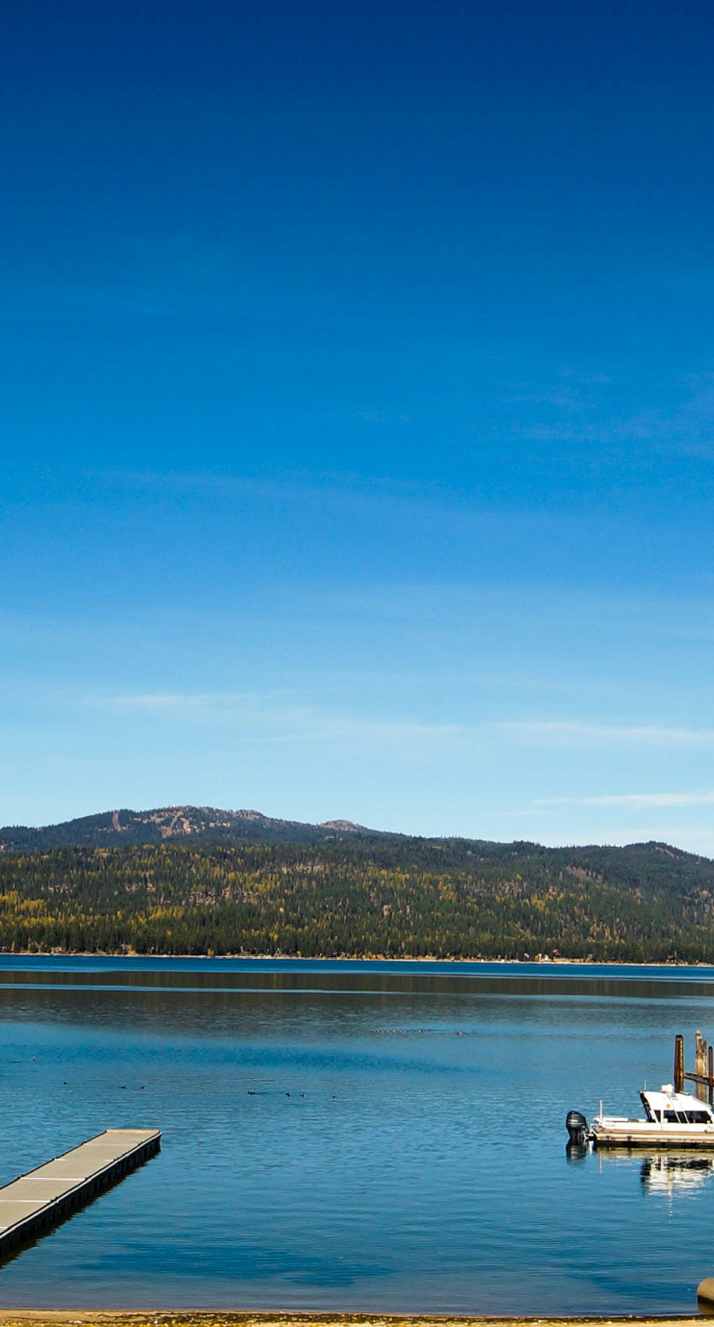 Bright McCall Retreat - Pool, Hot Tub & Fitness