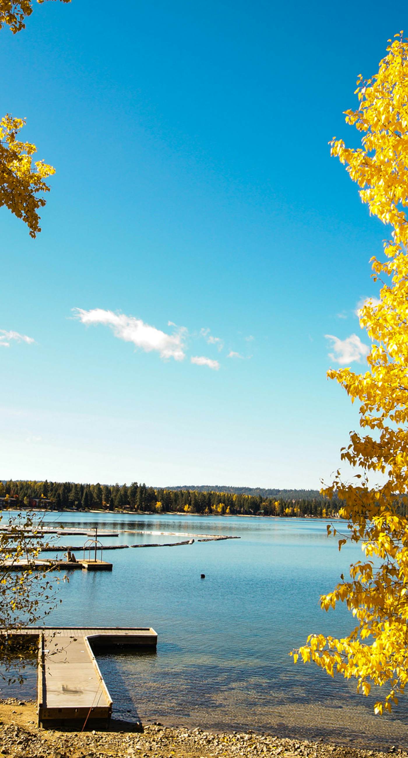 Bright McCall Retreat - Pool, Hot Tub & Fitness