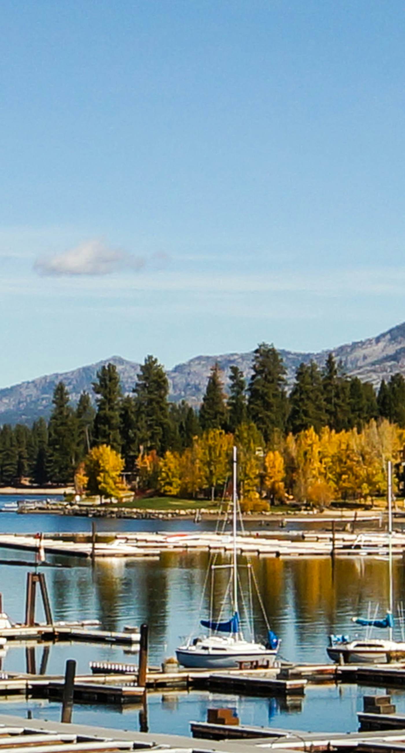 Bright McCall Retreat - Pool, Hot Tub & Fitness