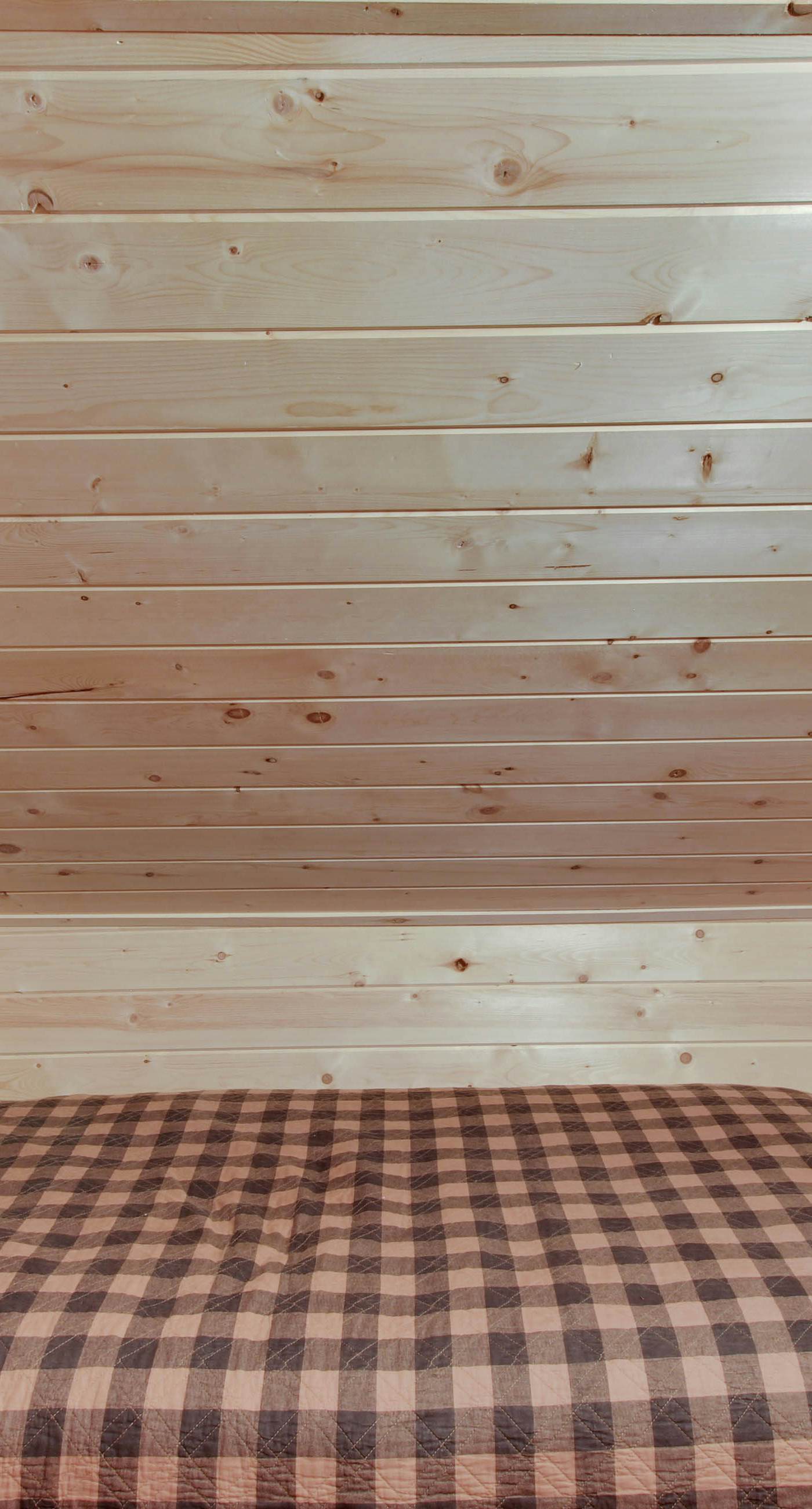 Rustic Lake House - Private Dock & Deck