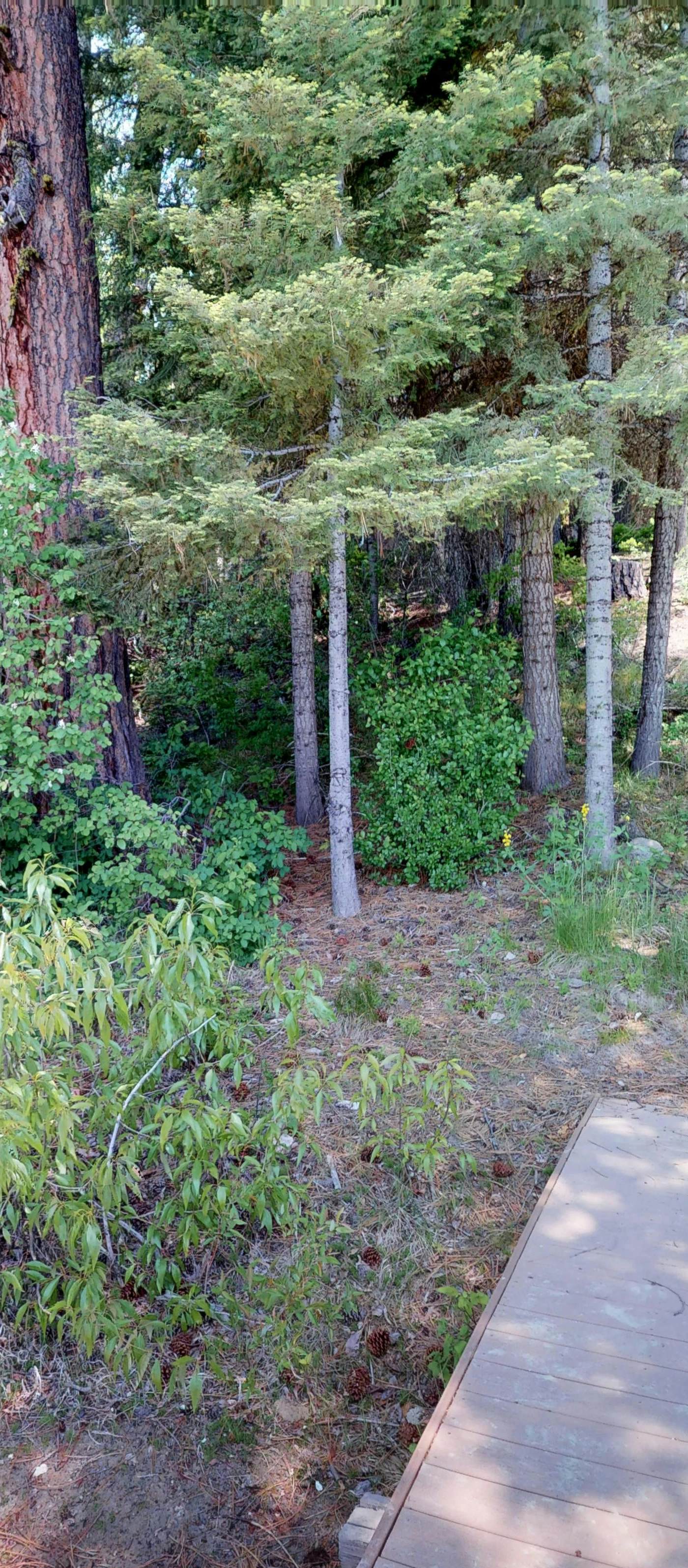 Rustic Lake House - Private Dock & Deck