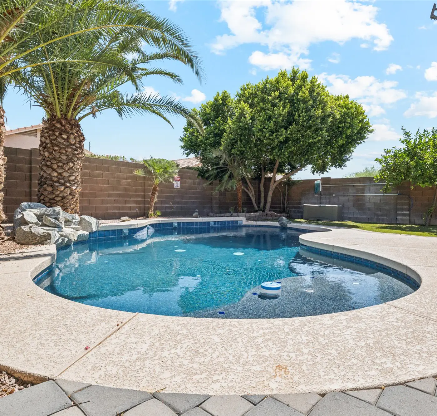 Chandler Oasis