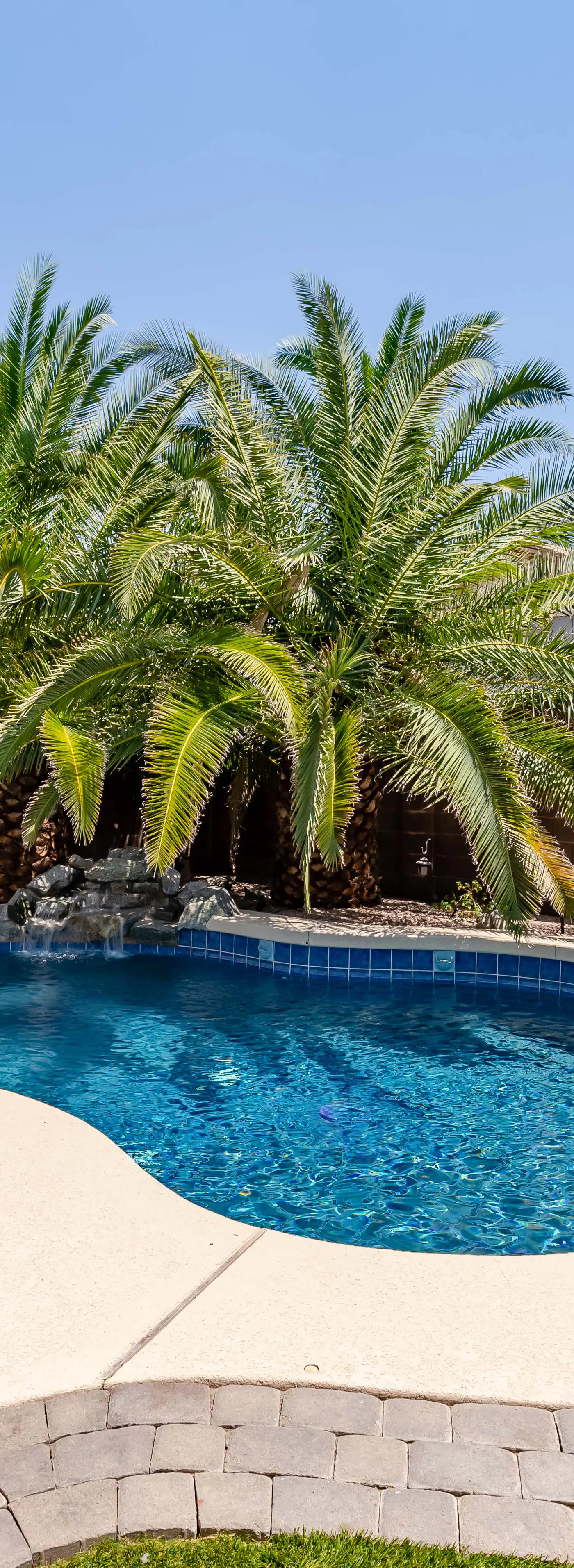 Chandler Oasis