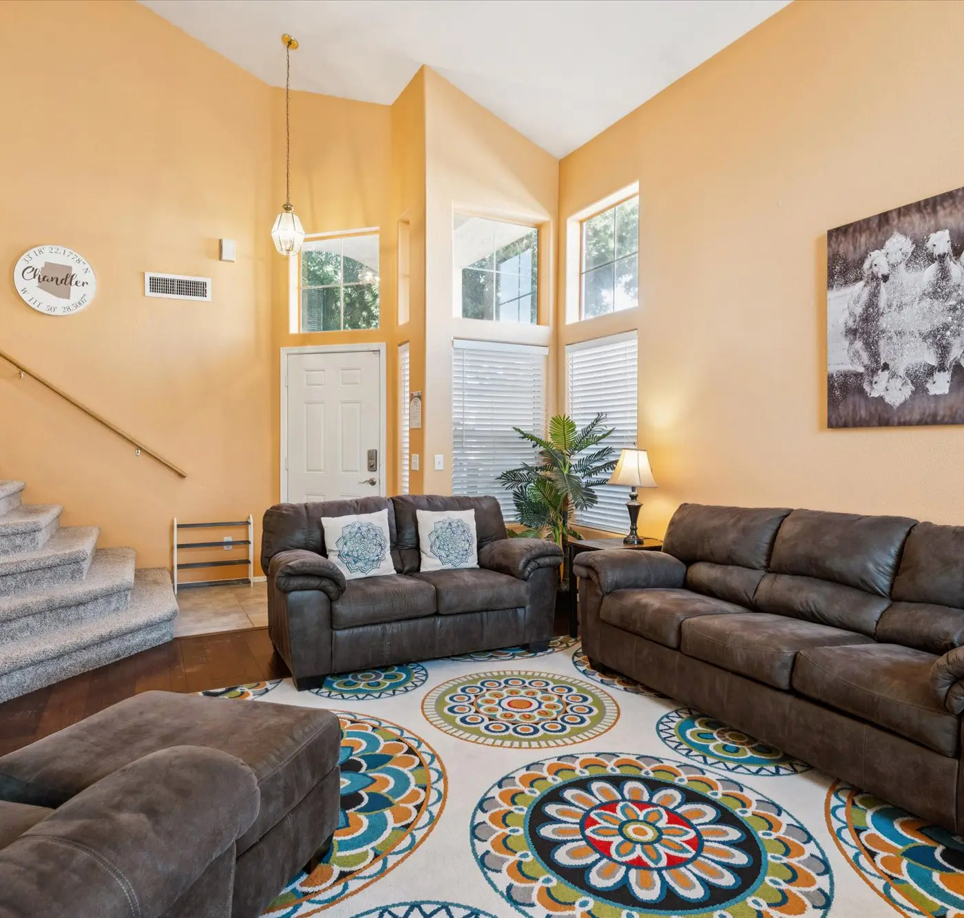Chandler Oasis
