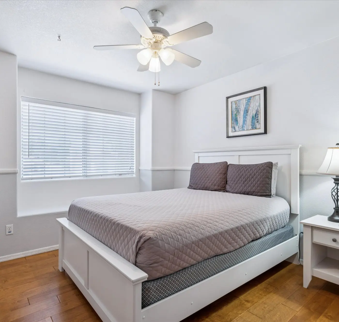 Chandler Oasis