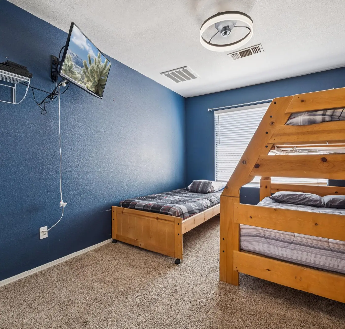 Chandler Oasis