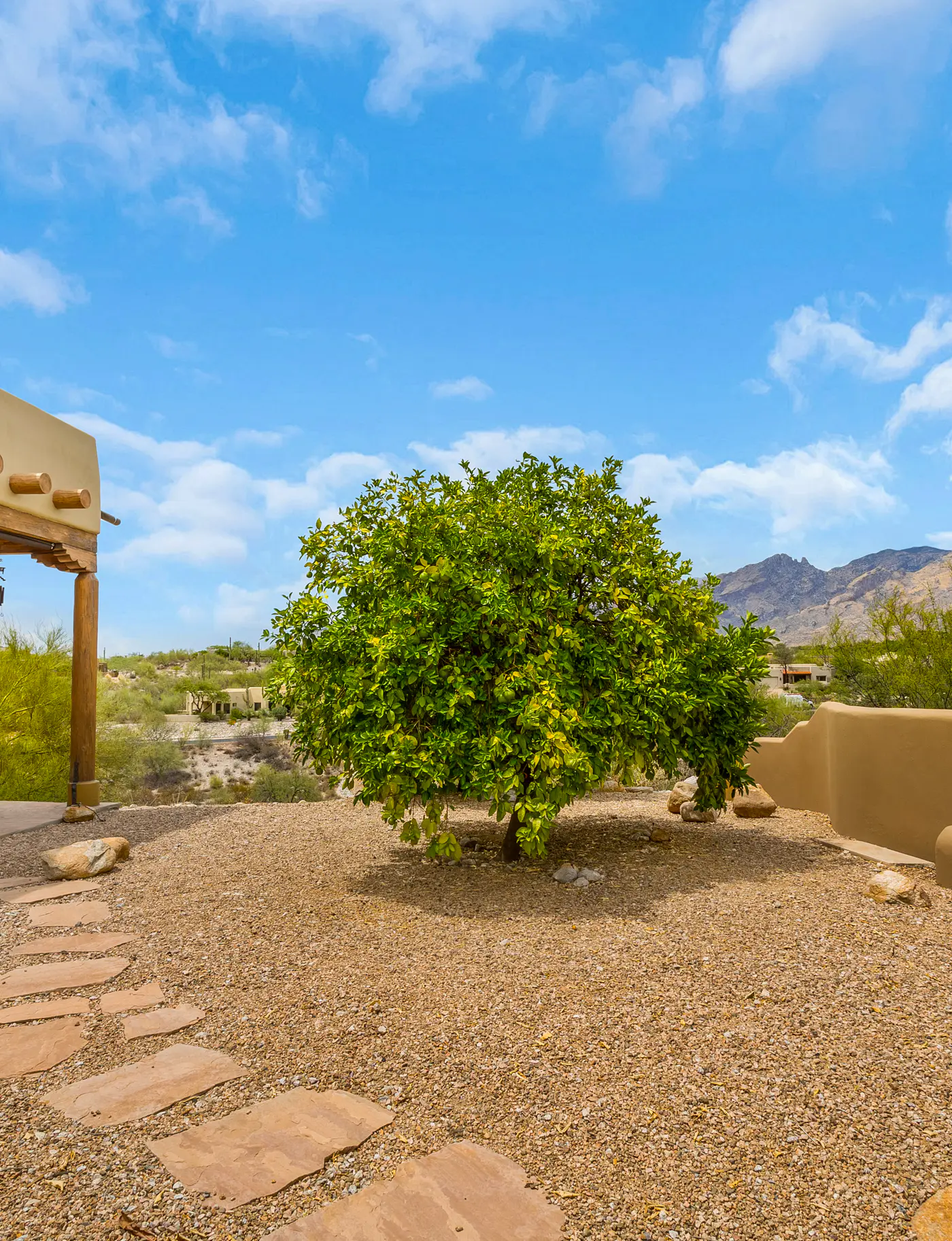 Bellas Catalina Oasis