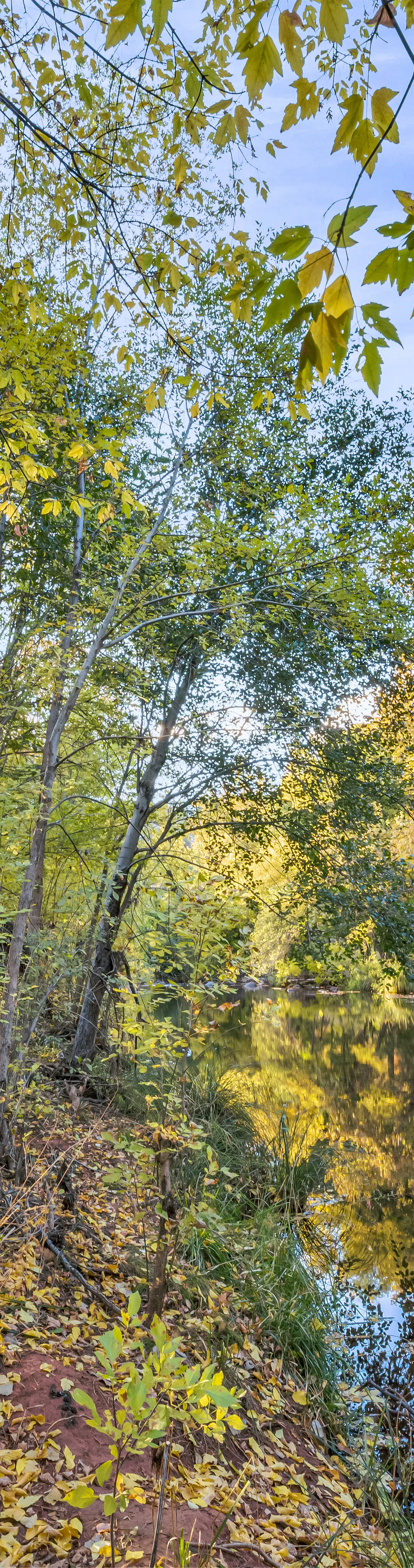 Oak Creek Oasis