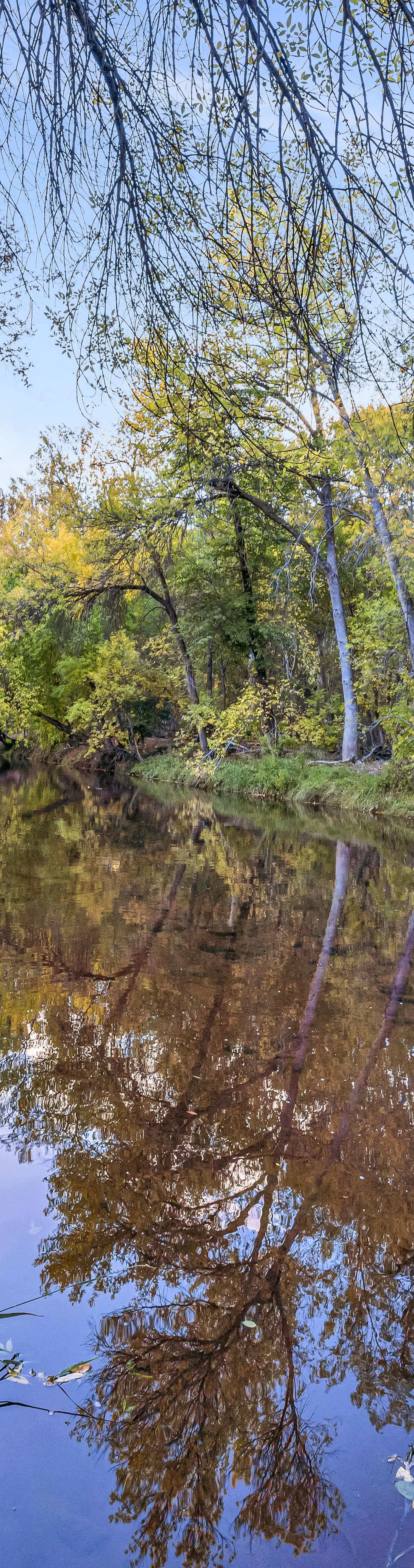 Oak Creek Oasis