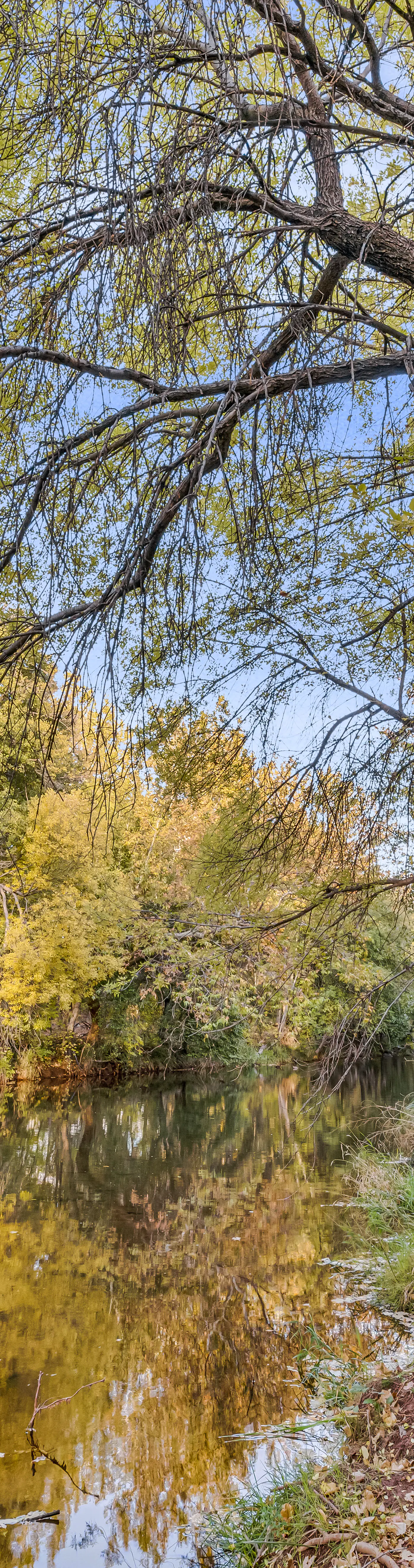 Oak Creek Oasis