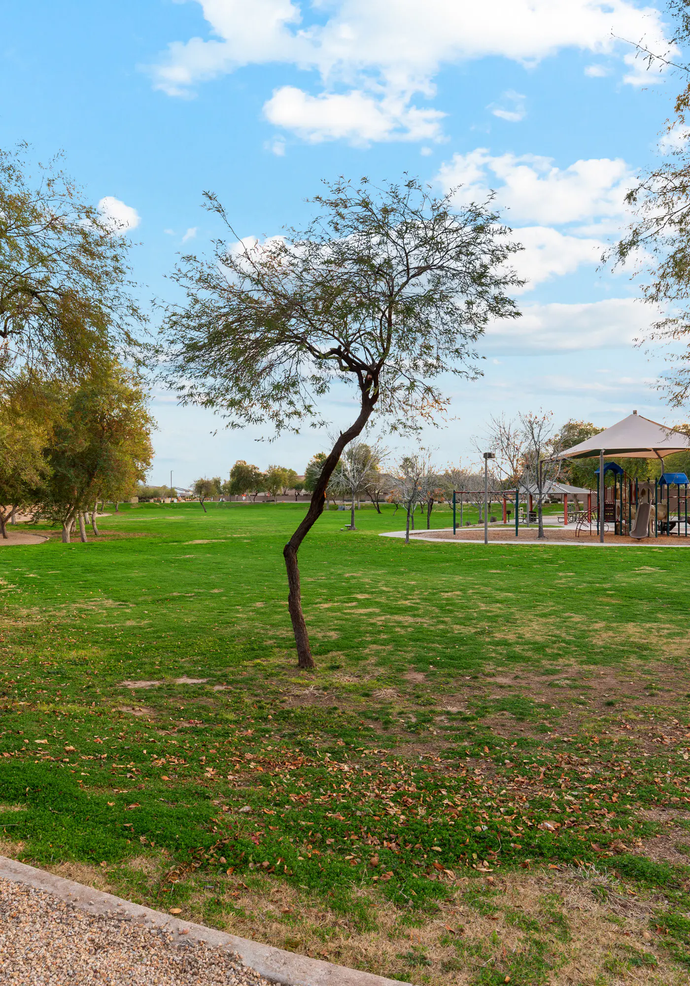 Goodyear Springs