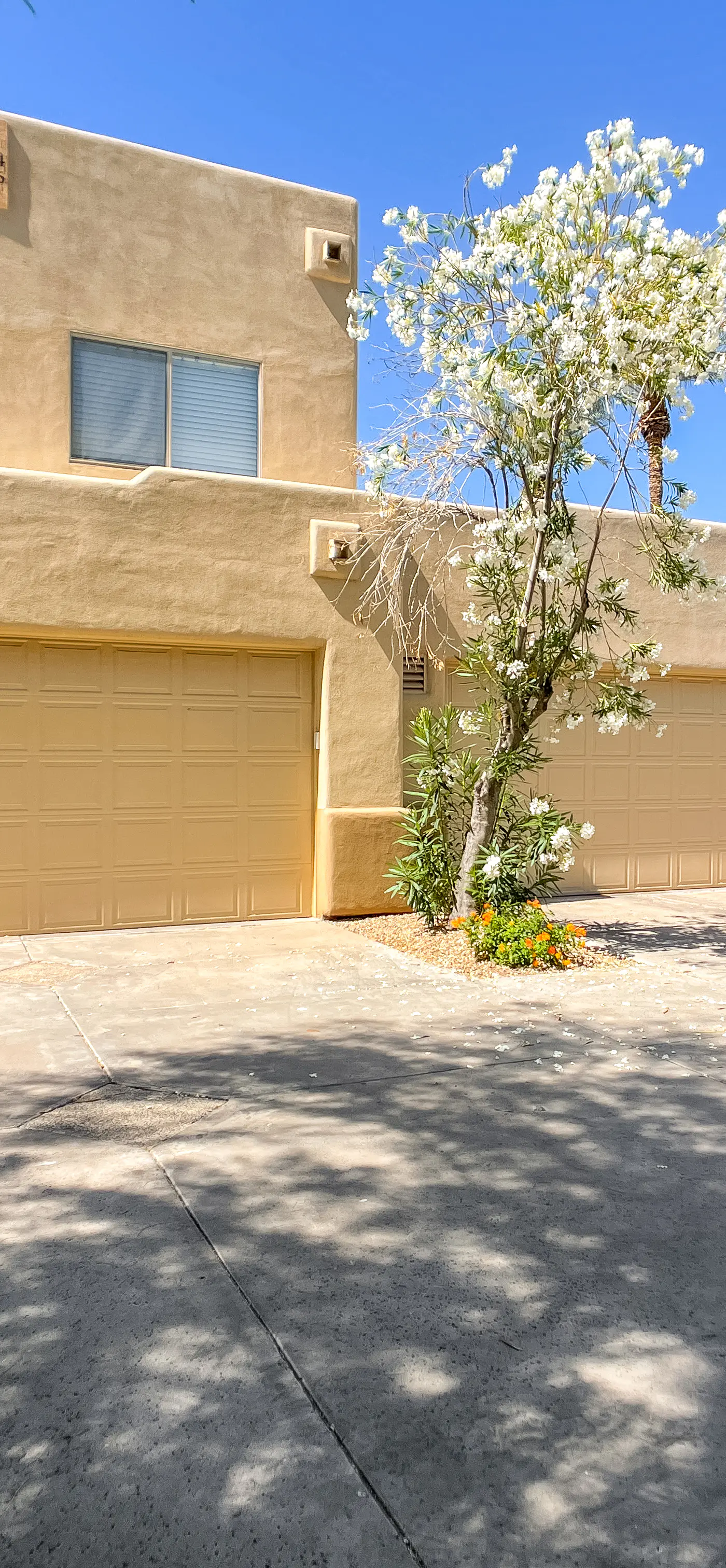 Arroyo Madera 156 Townhome
